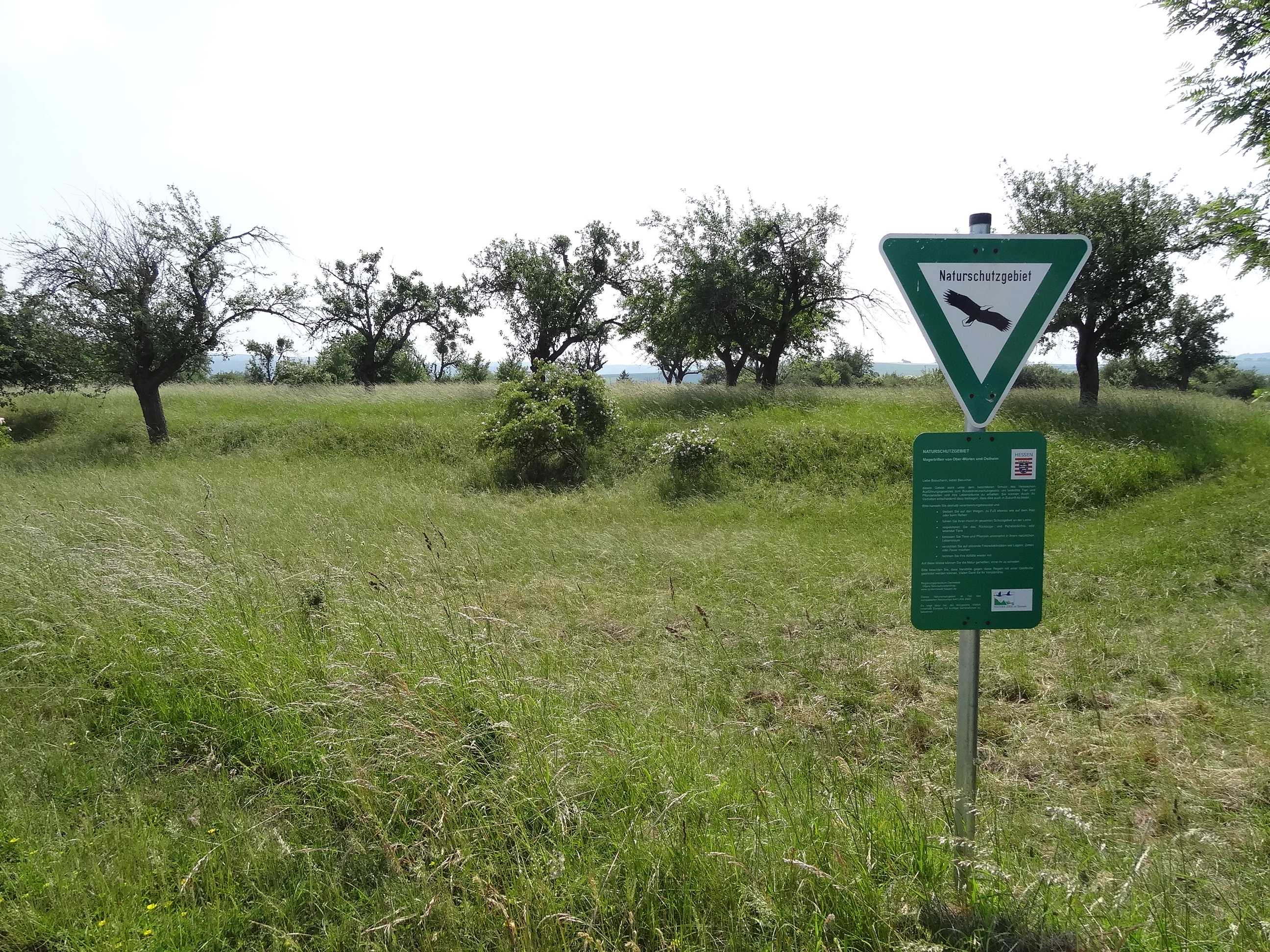 Un cartel verde de reserva natural sobre un poste metálico en una pradera herbosa con árboles frutales al fondo.