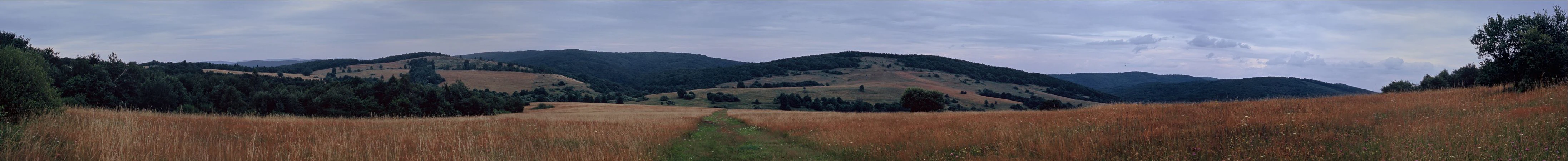 A panoramic landscape view of a vast, golden-brown meadow in the foreground, stretching toward gentle, forested mountain slopes under a soft, overcast sky.