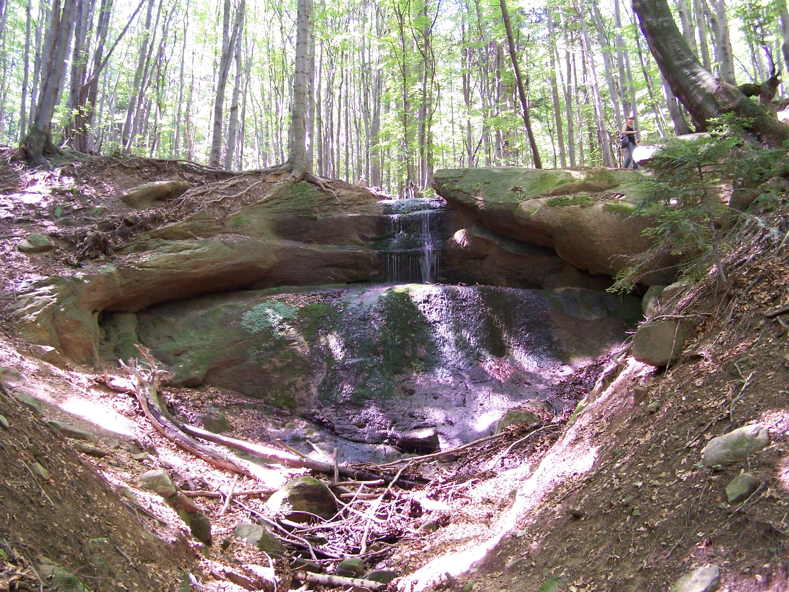 A small waterfall flowing over sandstone rock ledges surrounded by a lush forest in Magurski National Park.