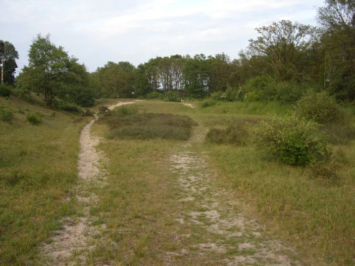 A sandy path winds through a low dune landscape with patches of sparse grass and shrubs under a cloudy sky.