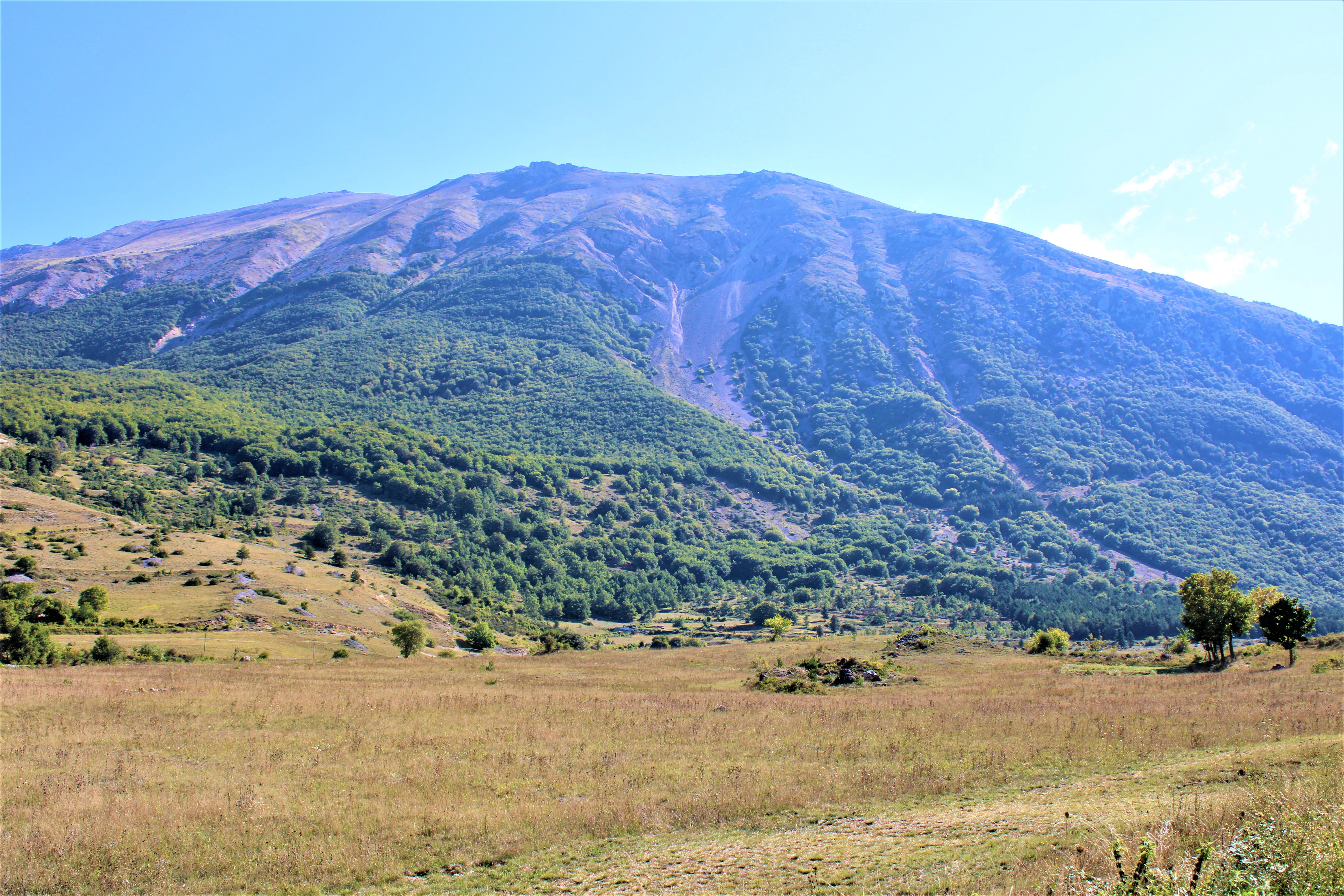 A mountain landscape with a large peak in the background, grassy fields in the foreground, and scattered trees under a clear blue sky