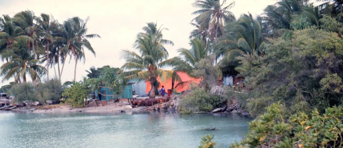 A view of a coastal lagoon with clear water, surrounded by dense tropical vegetation and palm trees, with small huts or dwellings near the sandy shore.