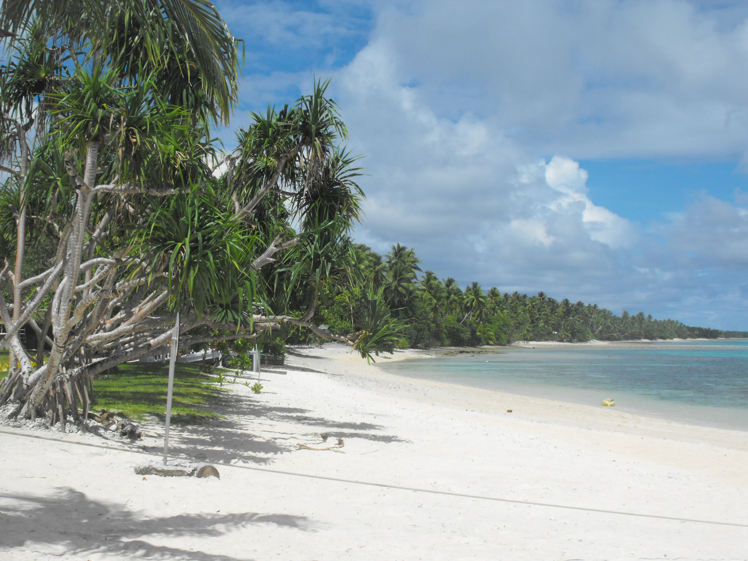 A sandy tropical beach with white sand; palm trees and pandanus trees line the shore next to calm turquoise lagoon water under a partly cloudy sky.