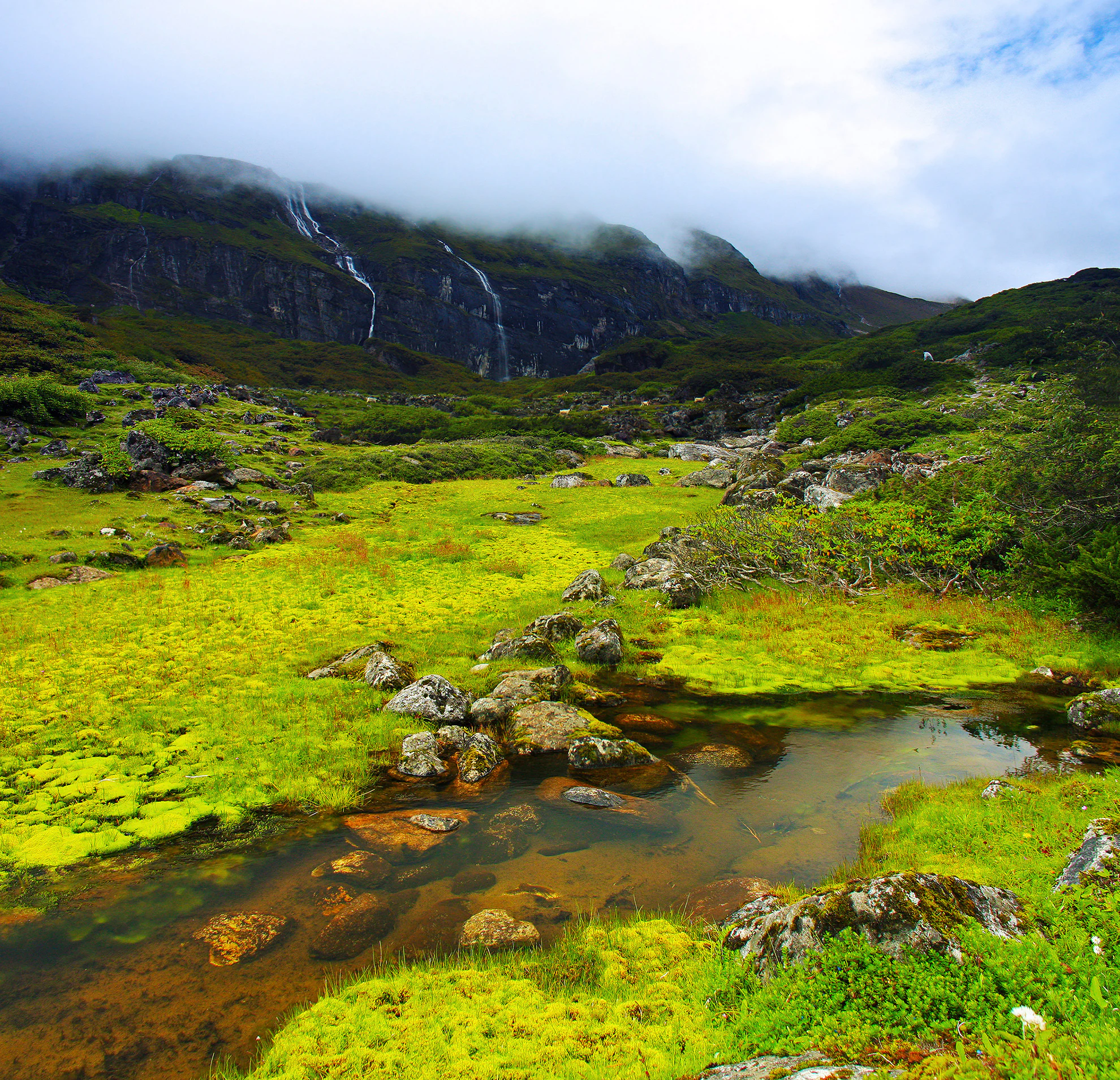 Green valley with stream flowing over rocks, grassy terrain, and mountains with waterfall in background