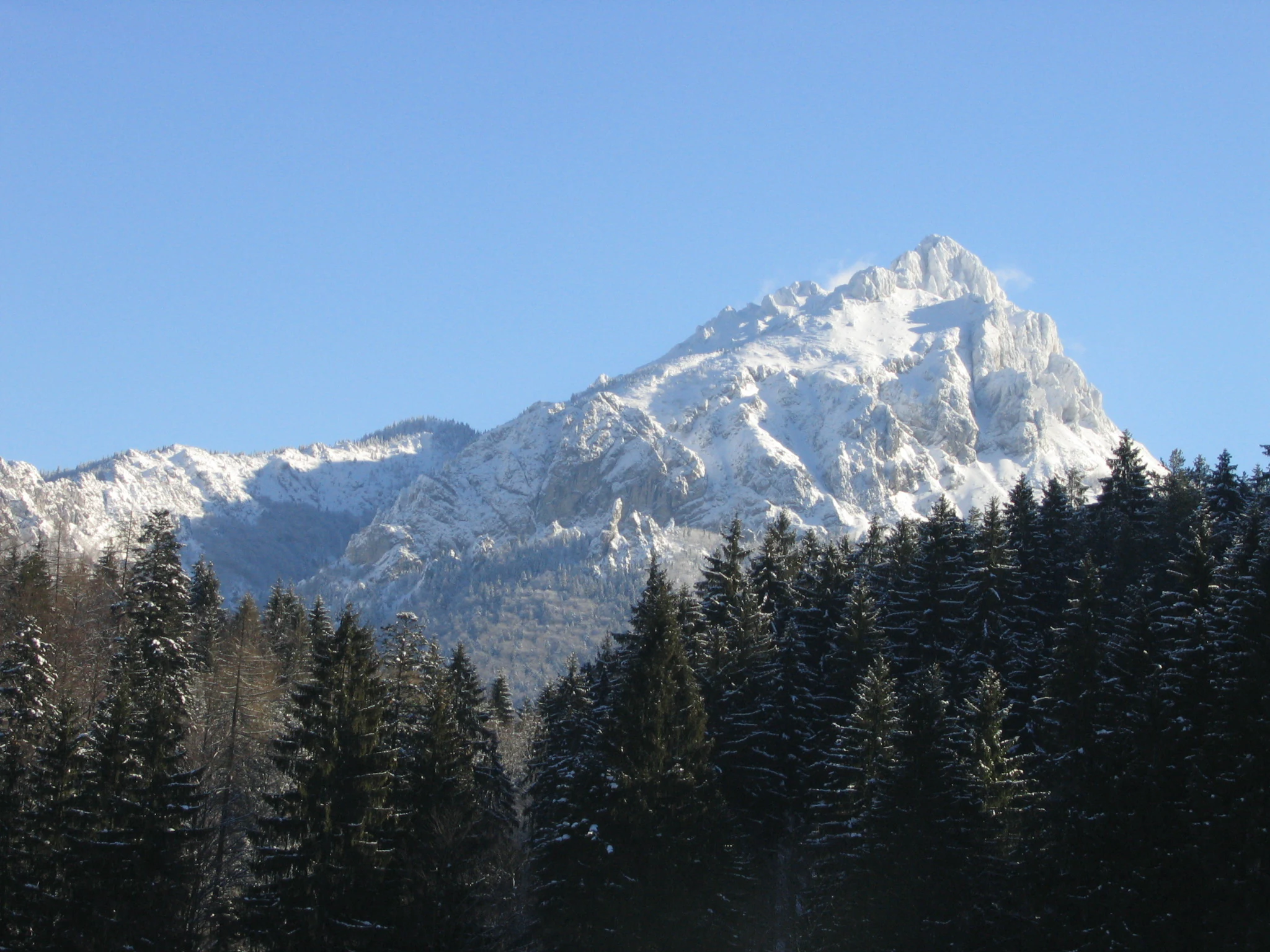 Snow-covered mountain peak with dense evergreen forest in foreground under clear blue sky