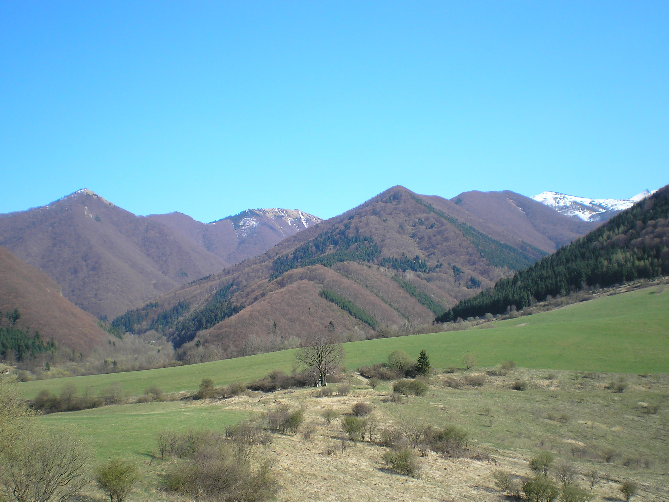 Mountain landscape with green valleys, forested hills, and distant peaks under clear blue sky.