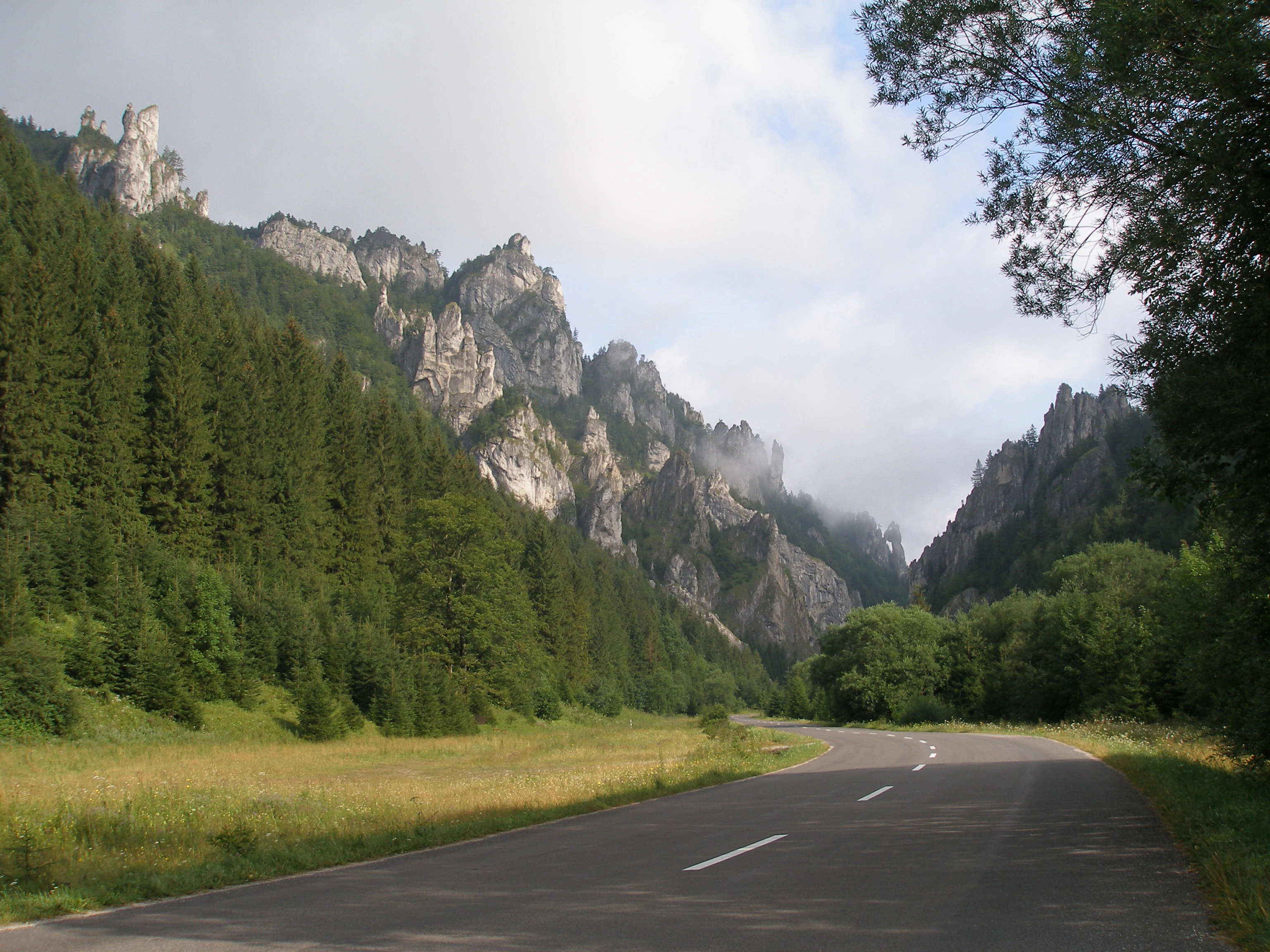 Asphalt road in a valley with dense green forests, rocky mountain peaks, and partly cloudy sky