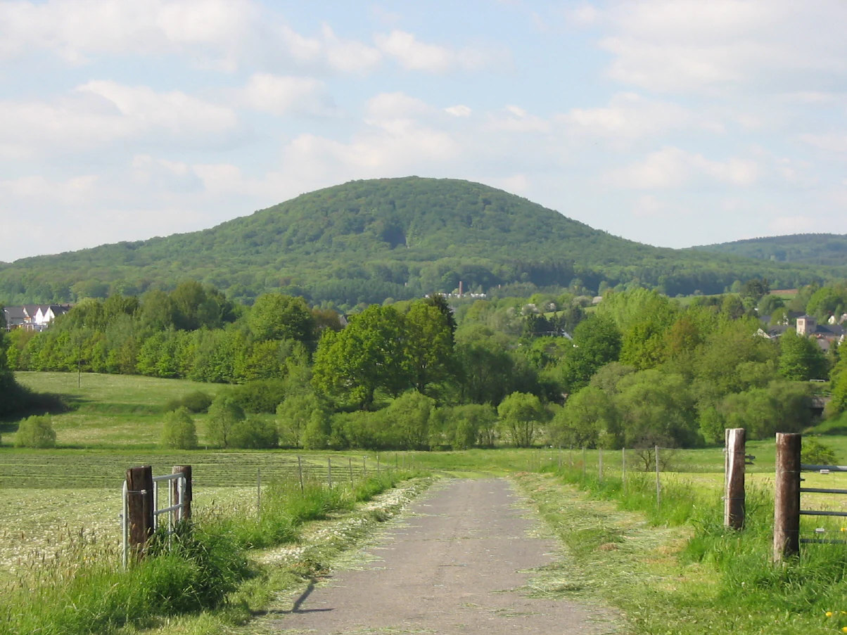 A green, forested hill rises in the distance behind a rural foreground with a dirt path leading through fields.