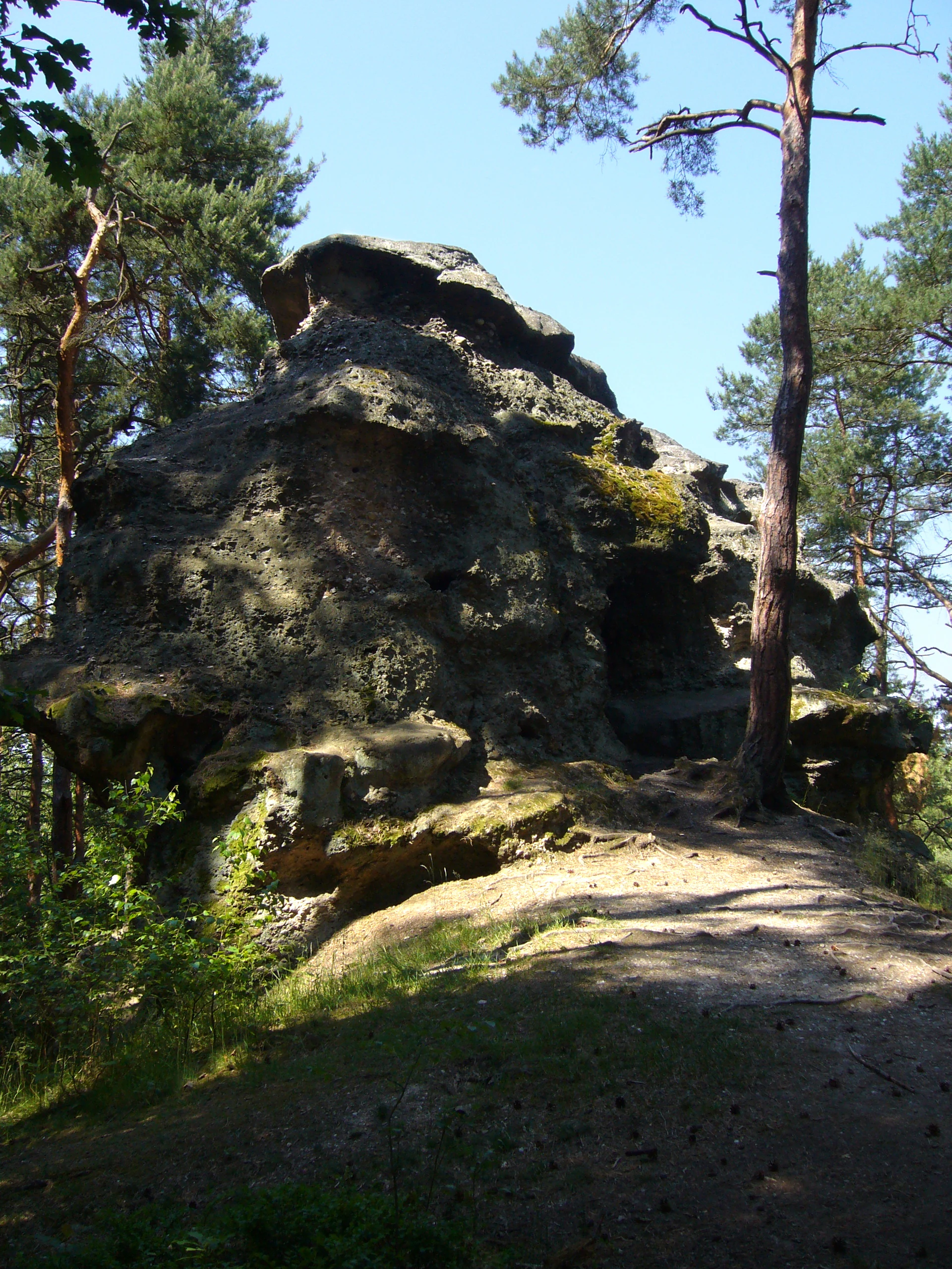 A large, weathered sandstone rock tower with an irregular, pitted surface, surrounded by pine trees on a sunny day.