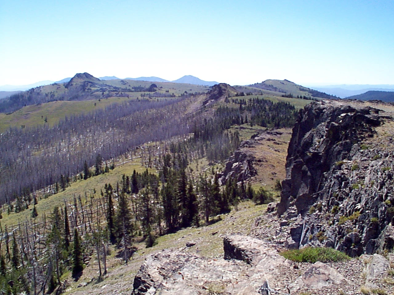 A wide landscape view of a mountainous wilderness area featuring rocky ridges, a mix of green coniferous trees and dead standing timber, and rolling hills under a clear blue sky.