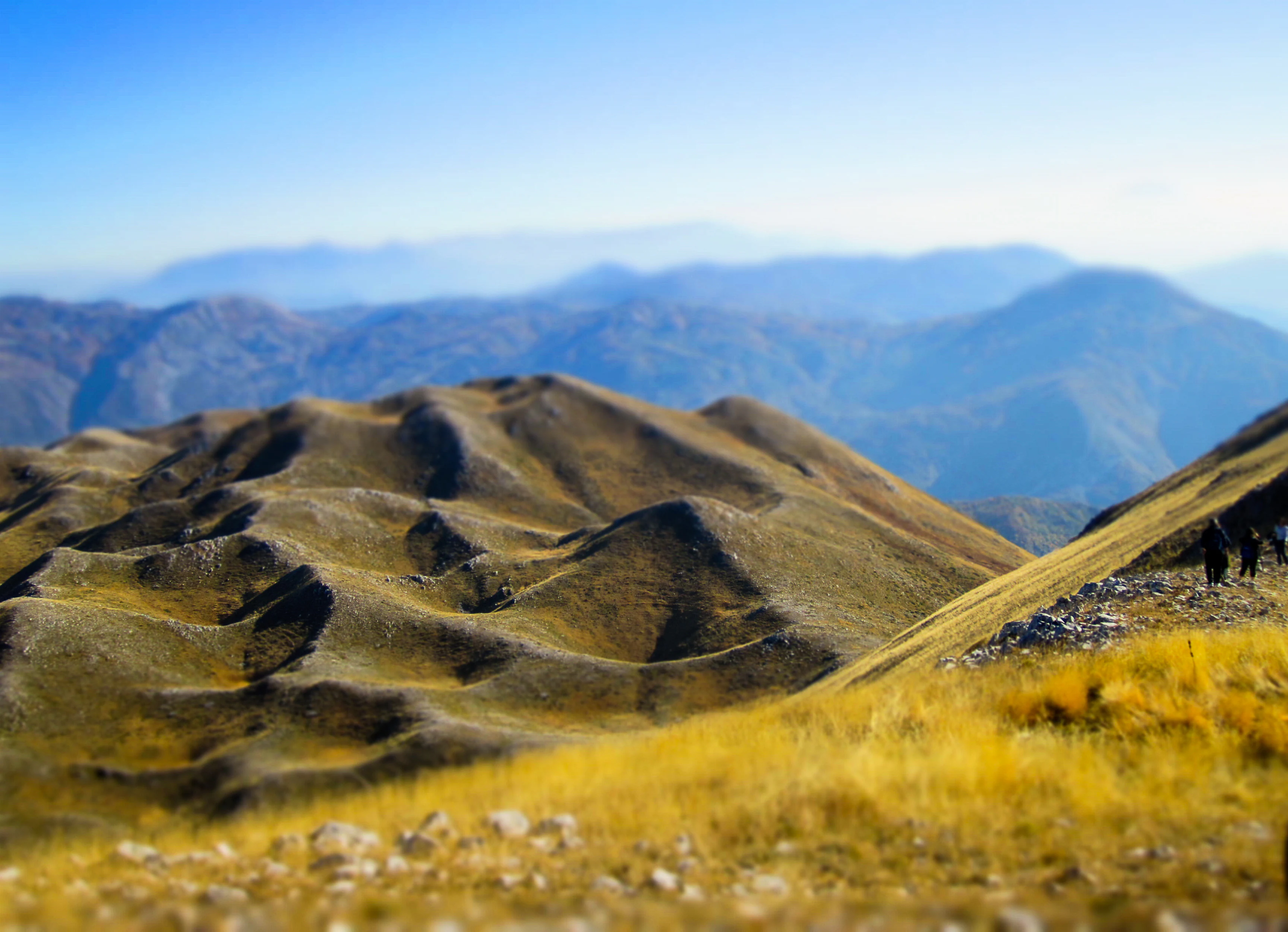 Wide view of rugged, undulating mountain terrain with golden grasses in the foreground and blue ridgelines fading into the distance under a clear sky.
