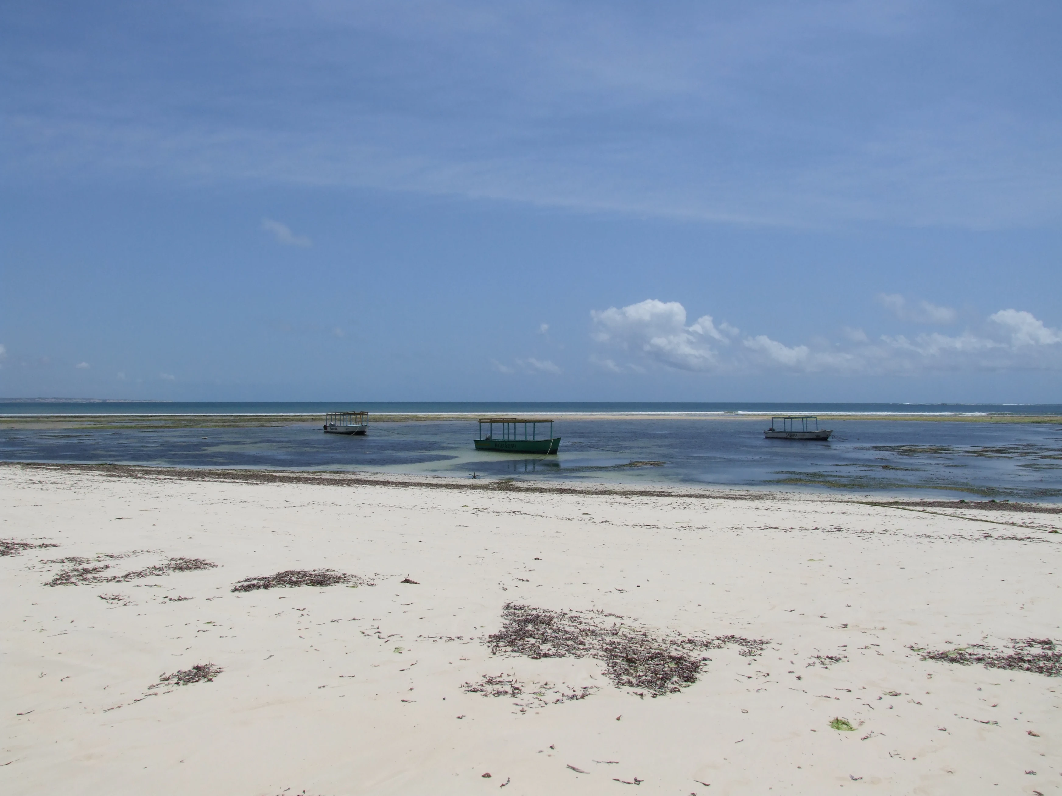 Sandy beach with seaweed patches, calm ocean waters, and three small floating structures under a clear blue sky