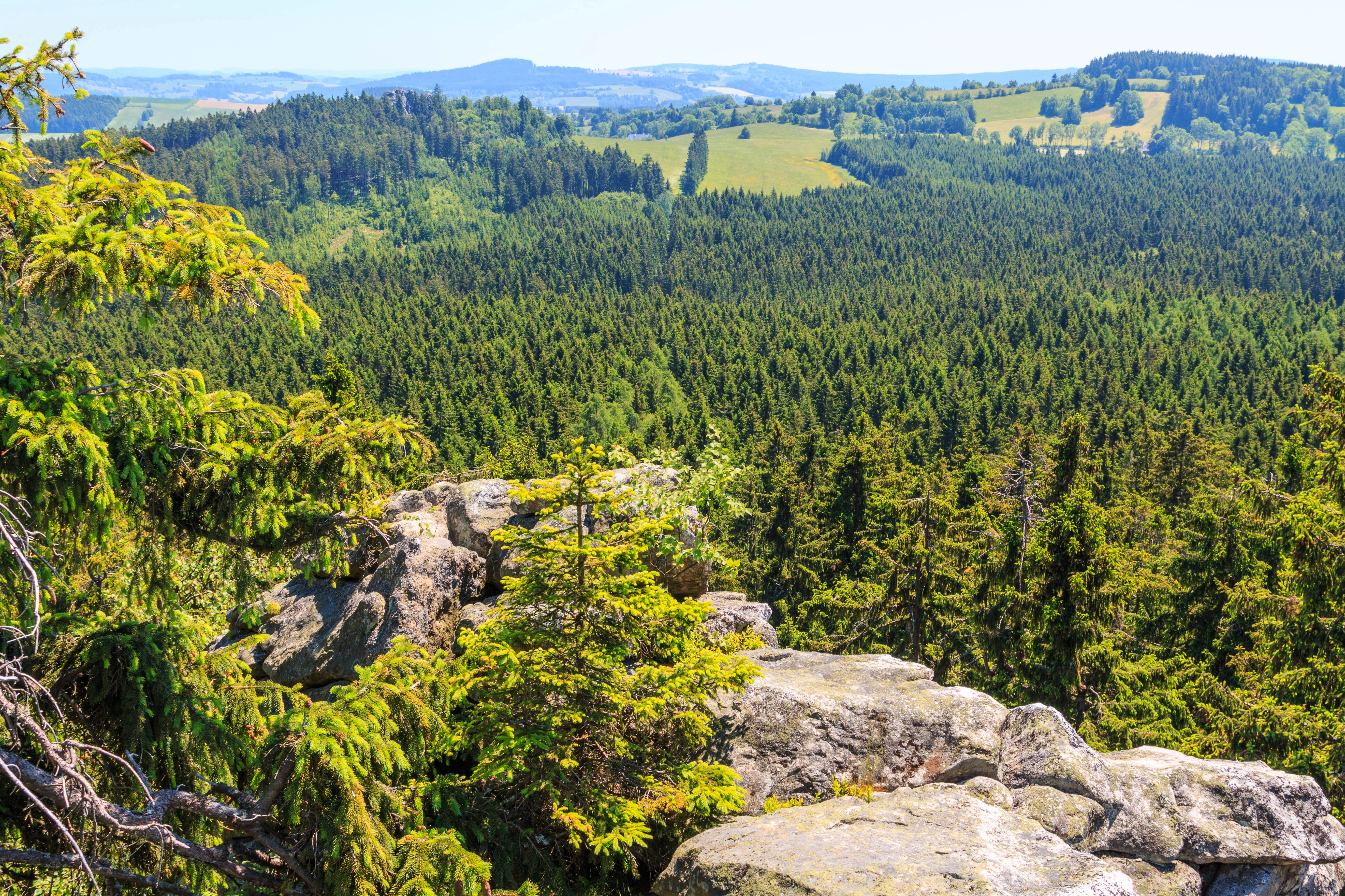 Una vista en ángulo alto desde un afloramiento rocoso que domina un denso bosque perenne que se extiende hacia colinas onduladas en la distancia bajo un cielo despejado.