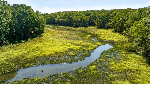A winding, narrow creek snakes through a vibrant green tidal marsh surrounded by dense deciduous forest under a bright sky.