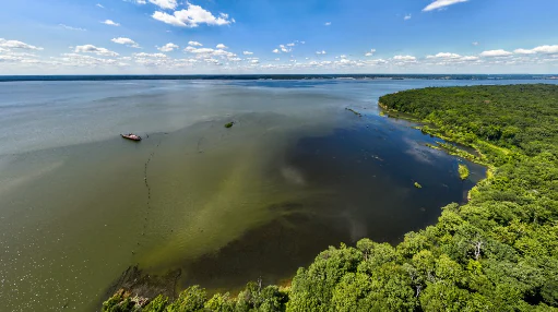 Aerial view of the Mallows Bay shoreline featuring dense green forest bordering the Potomac River, with visible historic shipwrecks partially submerged in the water under a clear blue sky.