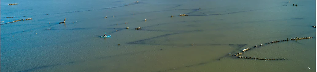 An aerial view showing a kayaker paddling through shallow water near several partially submerged, decaying wooden shipwrecks forming part of the Ghost Fleet at Mallows Bay.