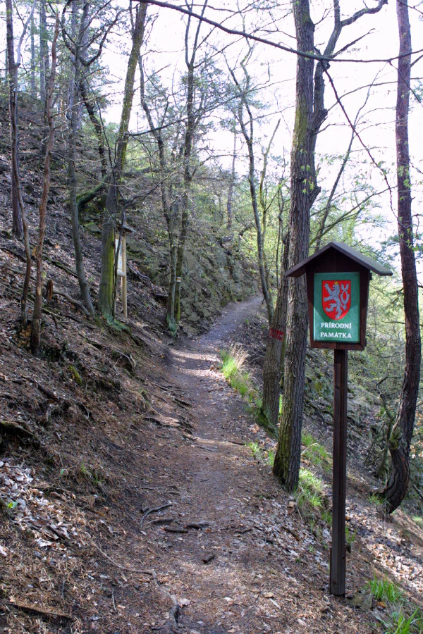 A narrow dirt hiking trail winding through a deciduous forest in spring, with a wooden sign on a post in the foreground displaying the Czech Republic natural monument emblem.