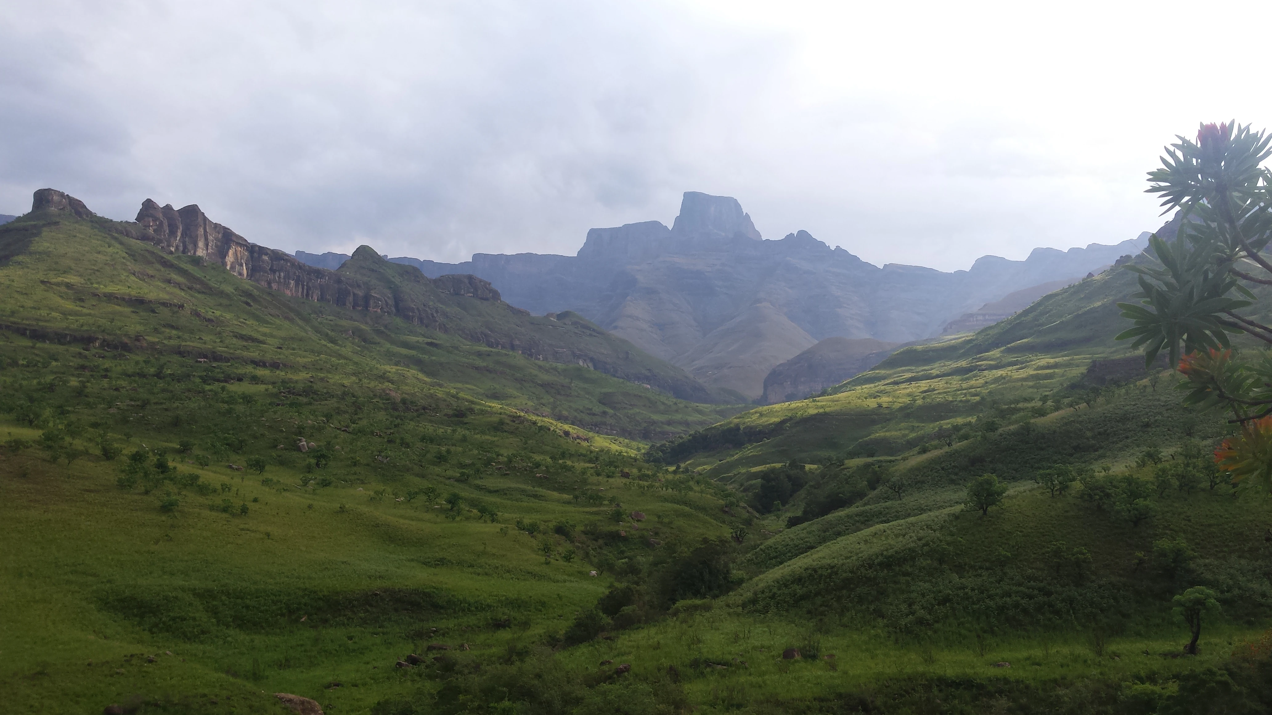 A wide view of a lush green valley with rolling grassy hills leading toward a prominent, sheer-faced mountain peak under a cloudy sky.