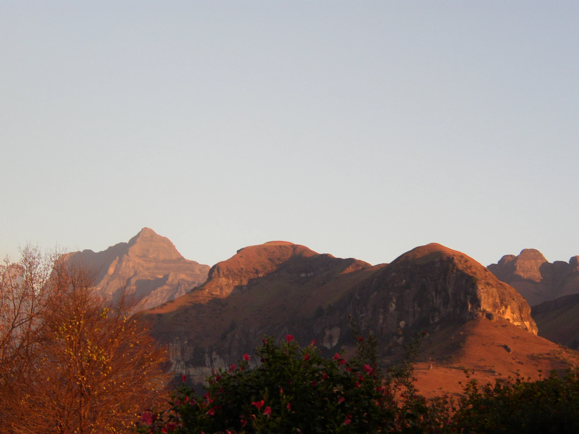 A landscape view of rugged mountain peaks bathed in the orange light of early morning or late afternoon, with darker foreground vegetation.