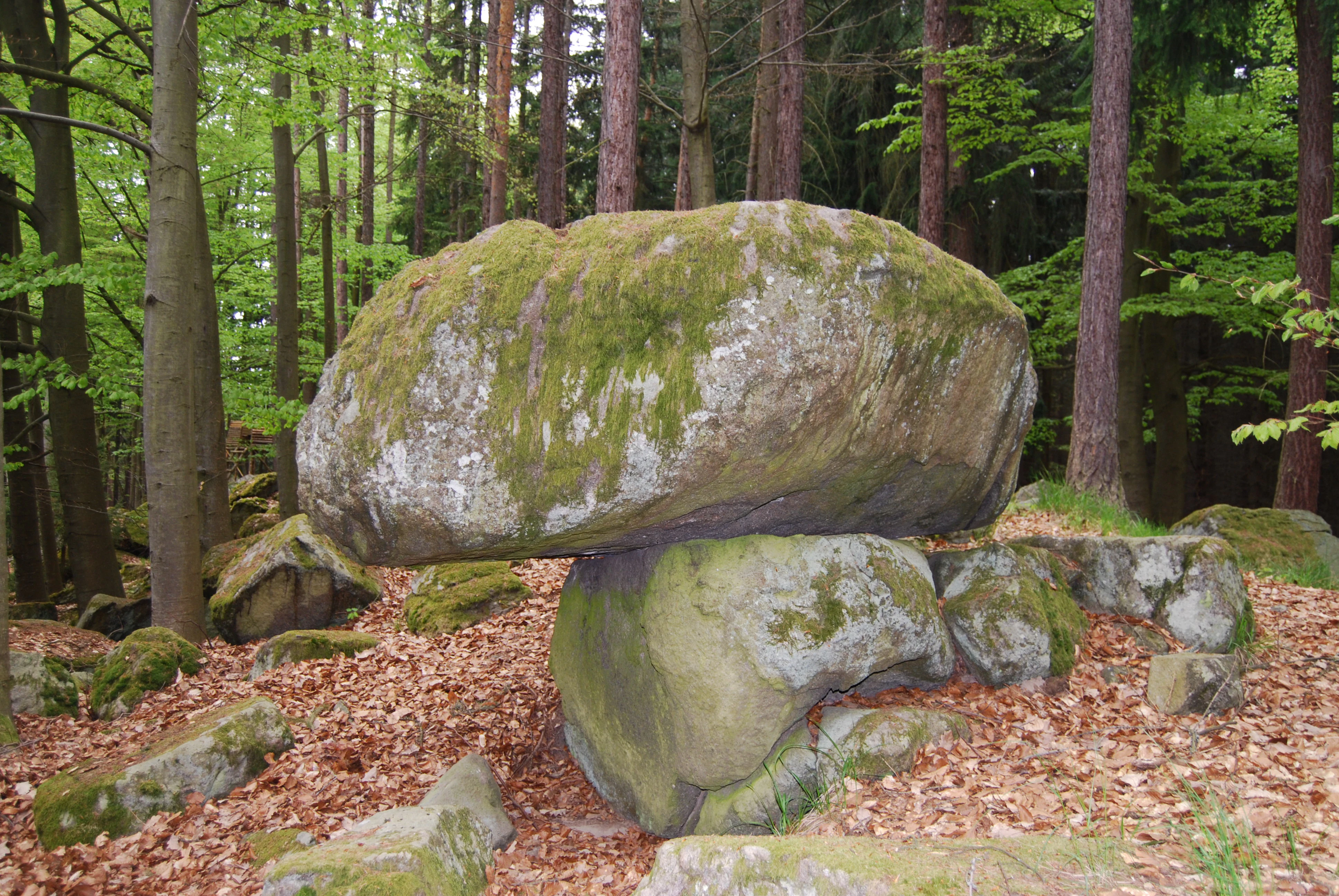 A large moss-covered boulder precariously balanced on a smaller stone base in a forest setting.