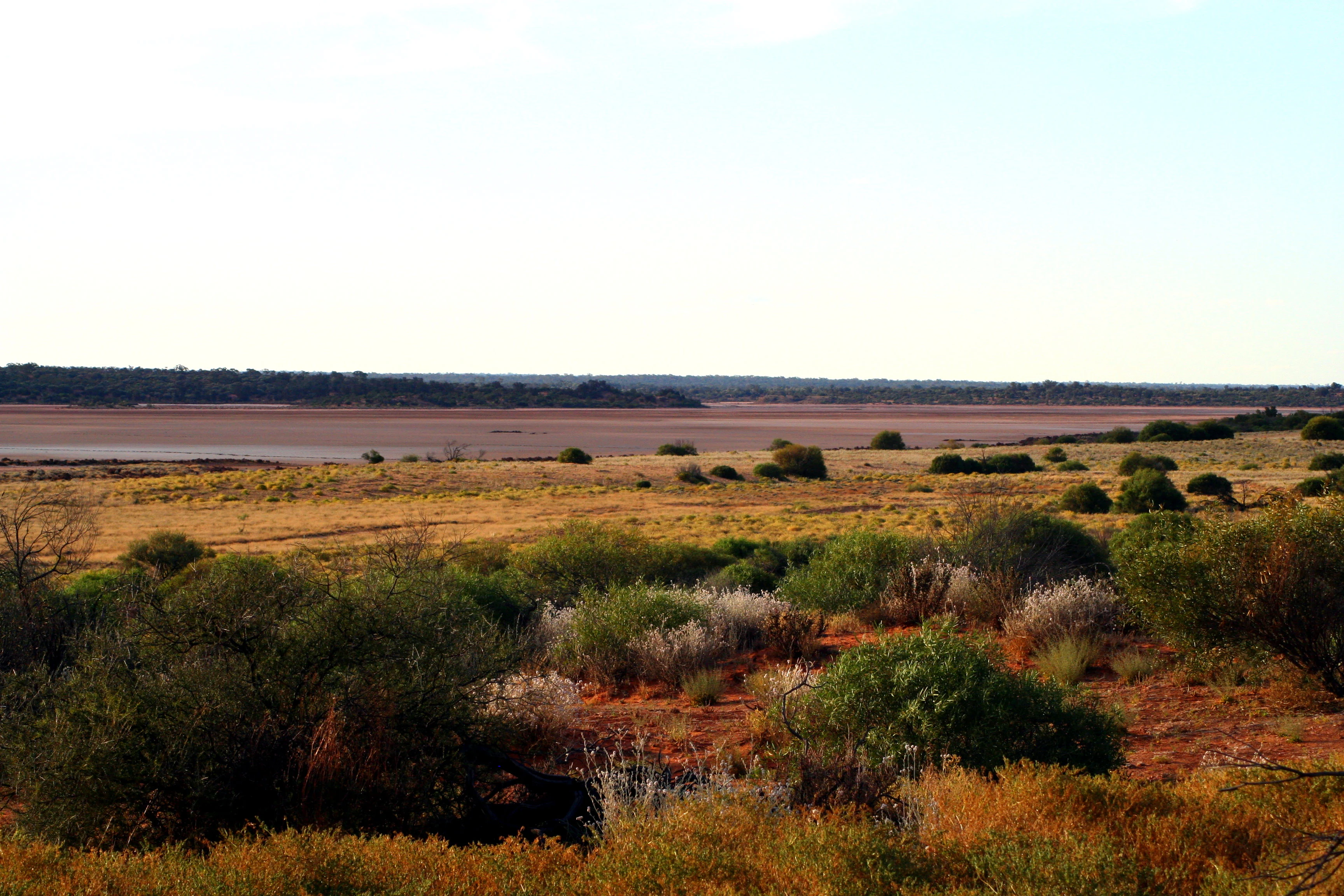 A wide view of a dry, brownish salt lake bed surrounded by sparse shrubs and arid desert vegetation under a pale sky.