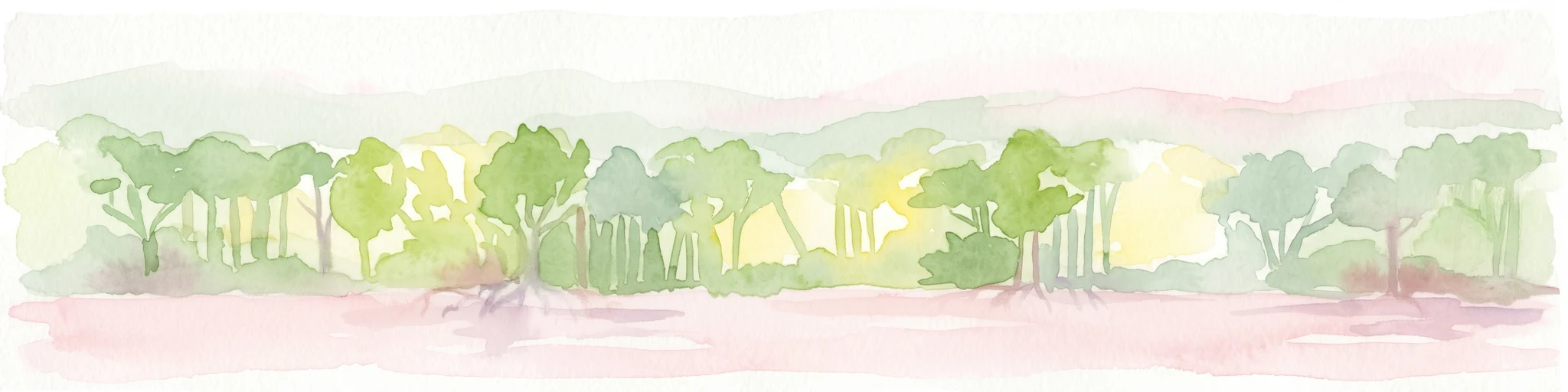 Watercolor painting showing mangrove trees and a shoreline under a light sky.