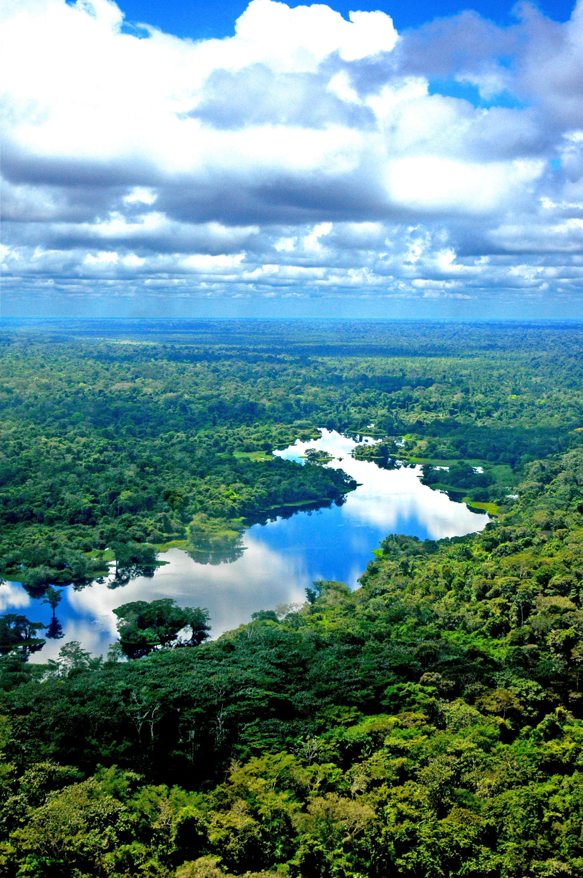 An aerial shot looking down over a vast expanse of green Amazonian rainforest with a winding lake reflecting the blue sky and white clouds.