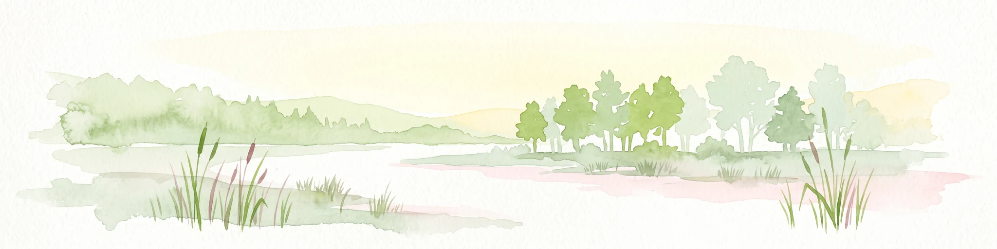 A horizontal watercolor painting of a serene pond surrounded by marshy vegetation and small clusters of trees under a soft, light-filled sky.