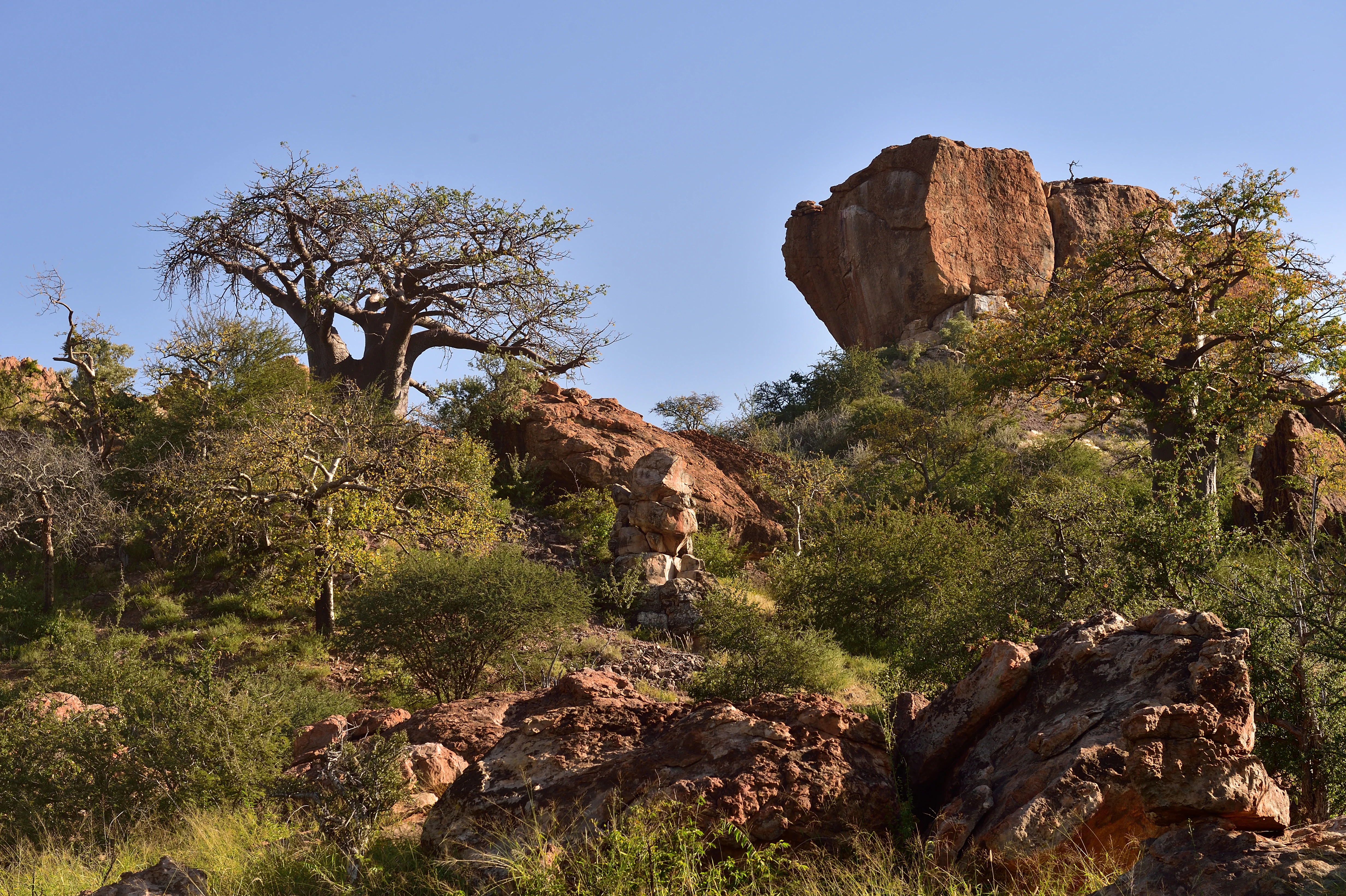 Colina rocosa con acacias dispersas y cielo azul claro en el Parque Nacional Mapungubwe