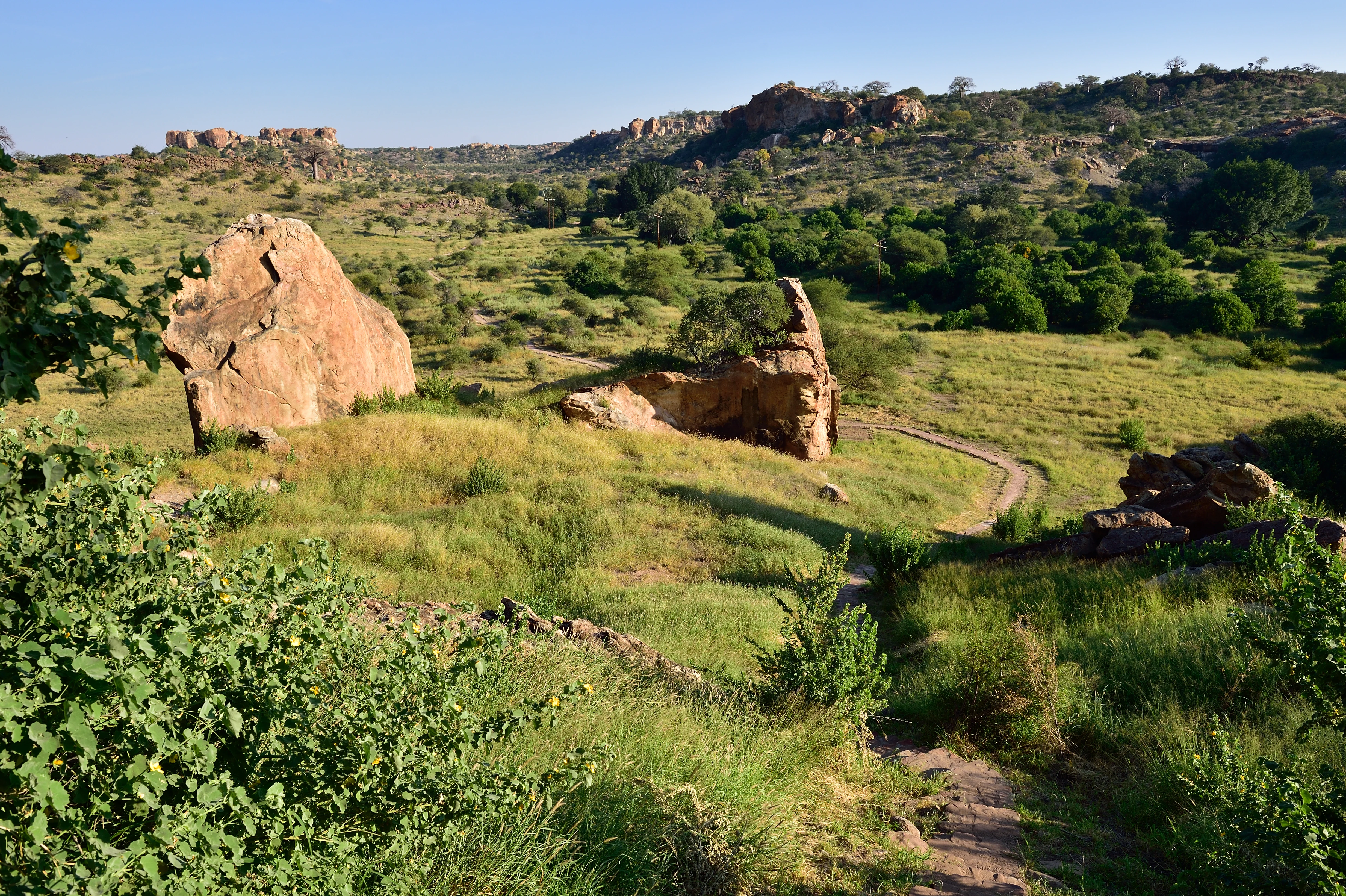 Un campo de hierba con formaciones rocosas dispersas y un sendero de tierra que se dirige hacia las colinas bajo un cielo despejado
