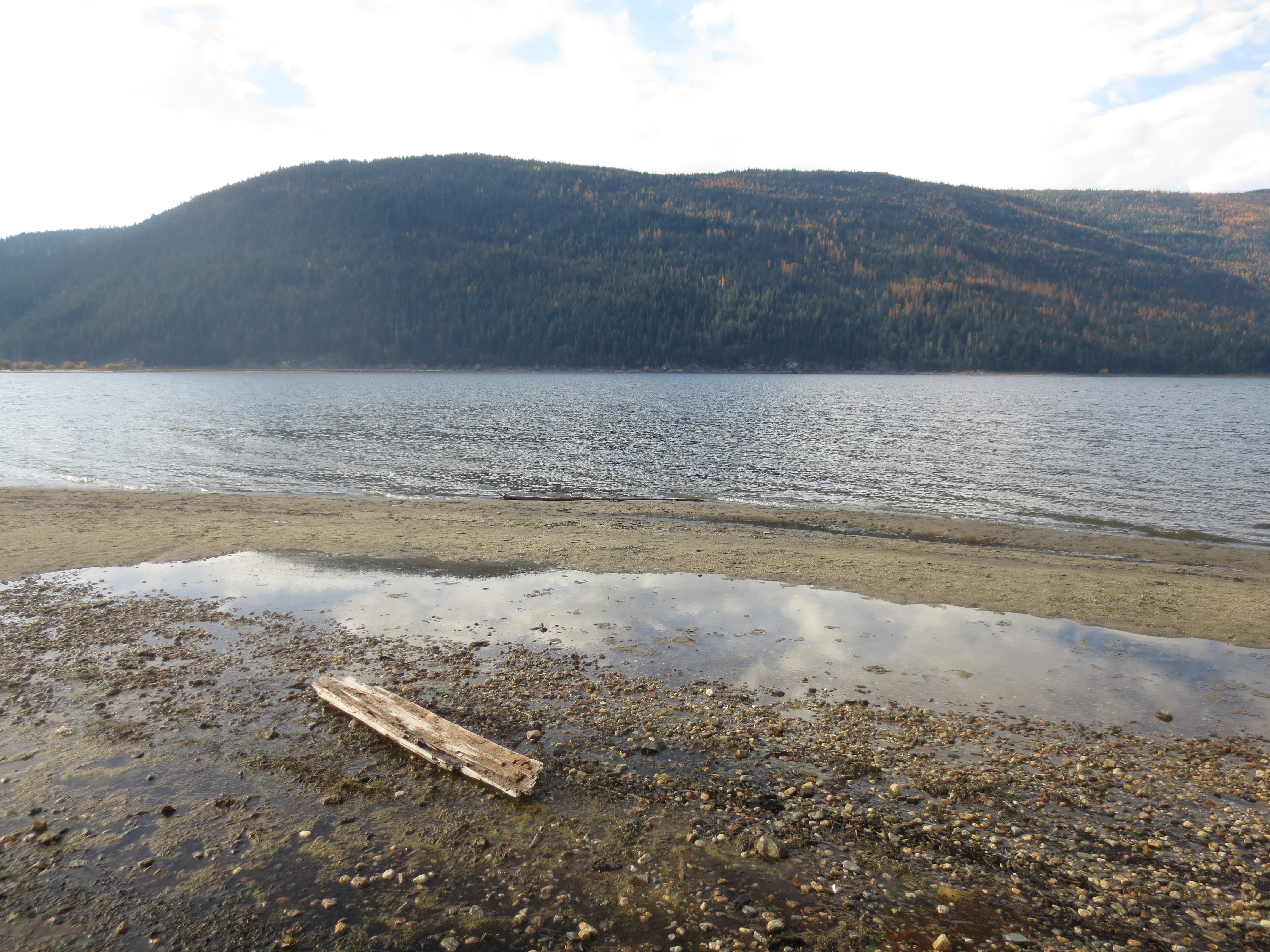 A view looking across the calm, grey water of Mara Lake towards a forested mountain ridgeline, with a pebbled beach, a small pool of water, and a piece of driftwood in the foreground.