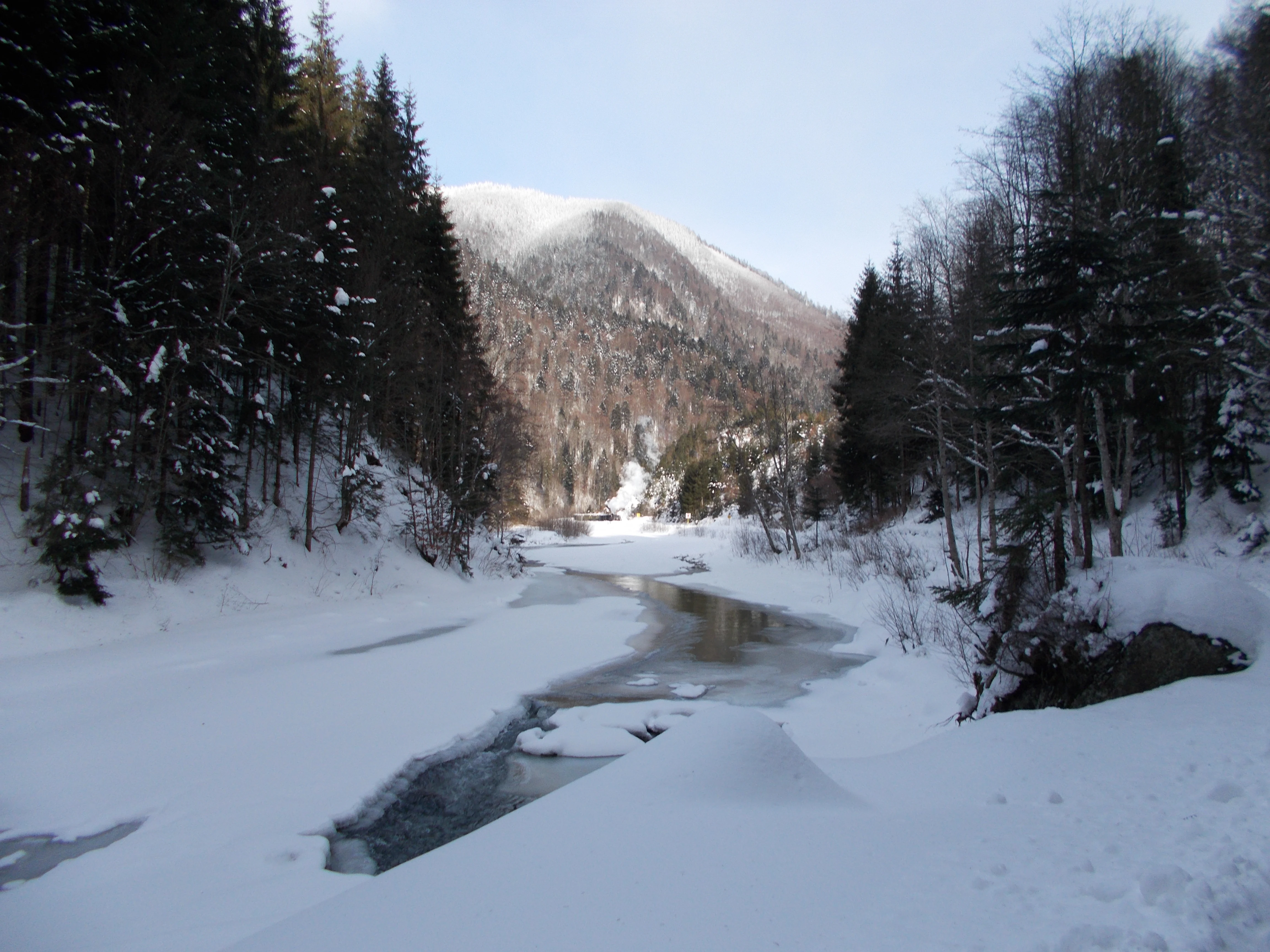 Snowy river winding through a dense evergreen forest with snow-capped mountains under a clear sky