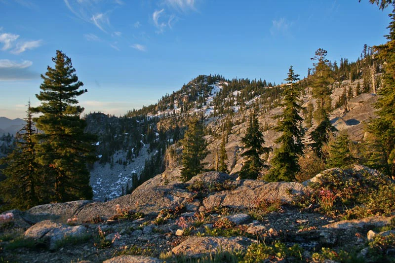 Rocky mountain landscape with scattered conifer trees in the foreground and midground, snow patches on the distant peak, and a blue sky with light clouds