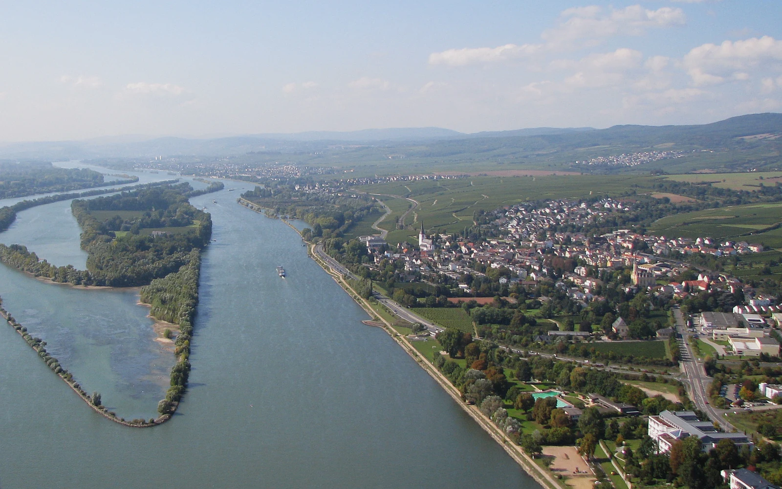 An aerial view of the Rhine river featuring the forested Mariannenaue island on the left and the town of Erbach on the right bank.