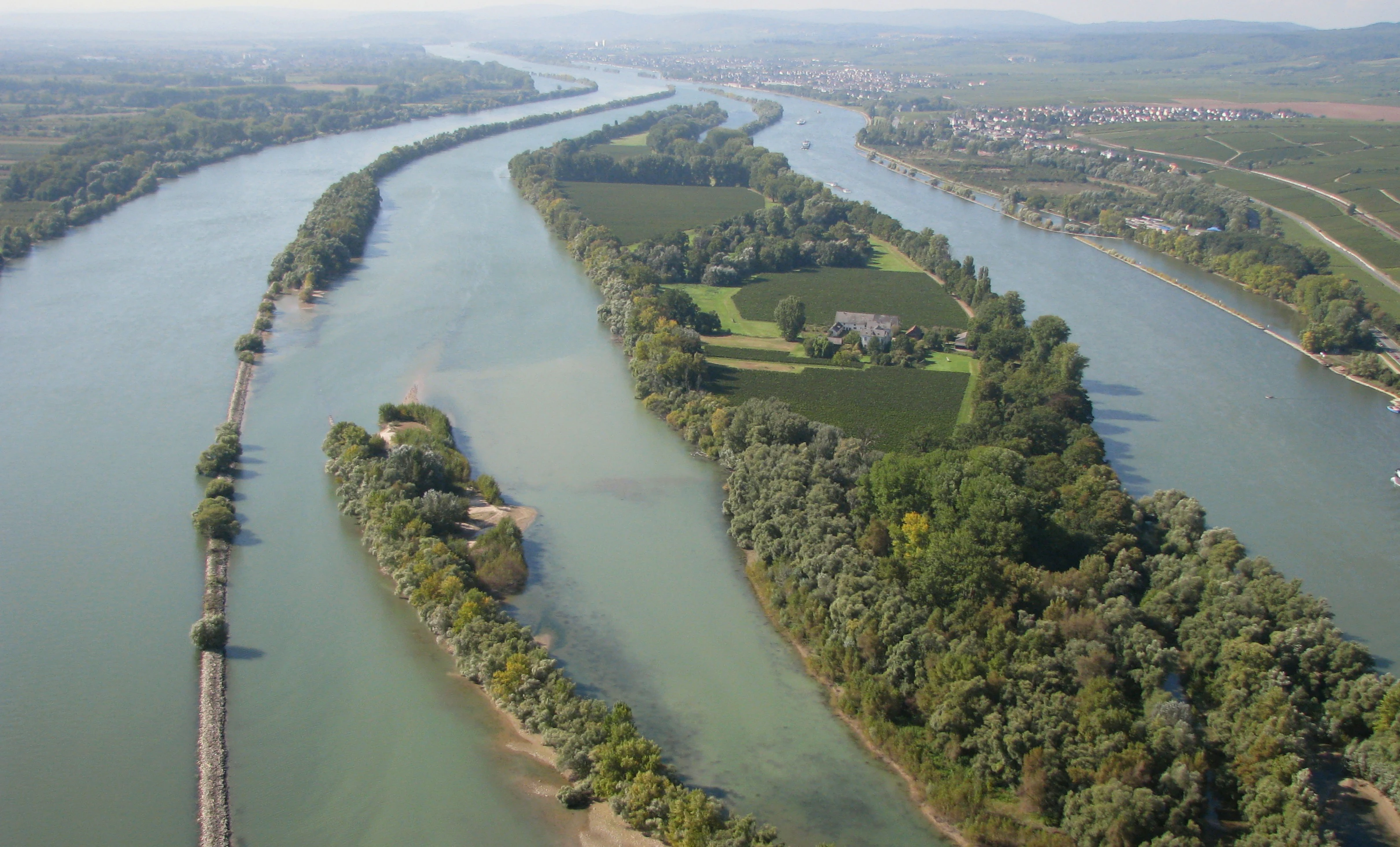 An aerial shot looking down the Rhine river, featuring the long green island of Mariannenaue surrounded by river channels, with agricultural fields and trees visible on the island.