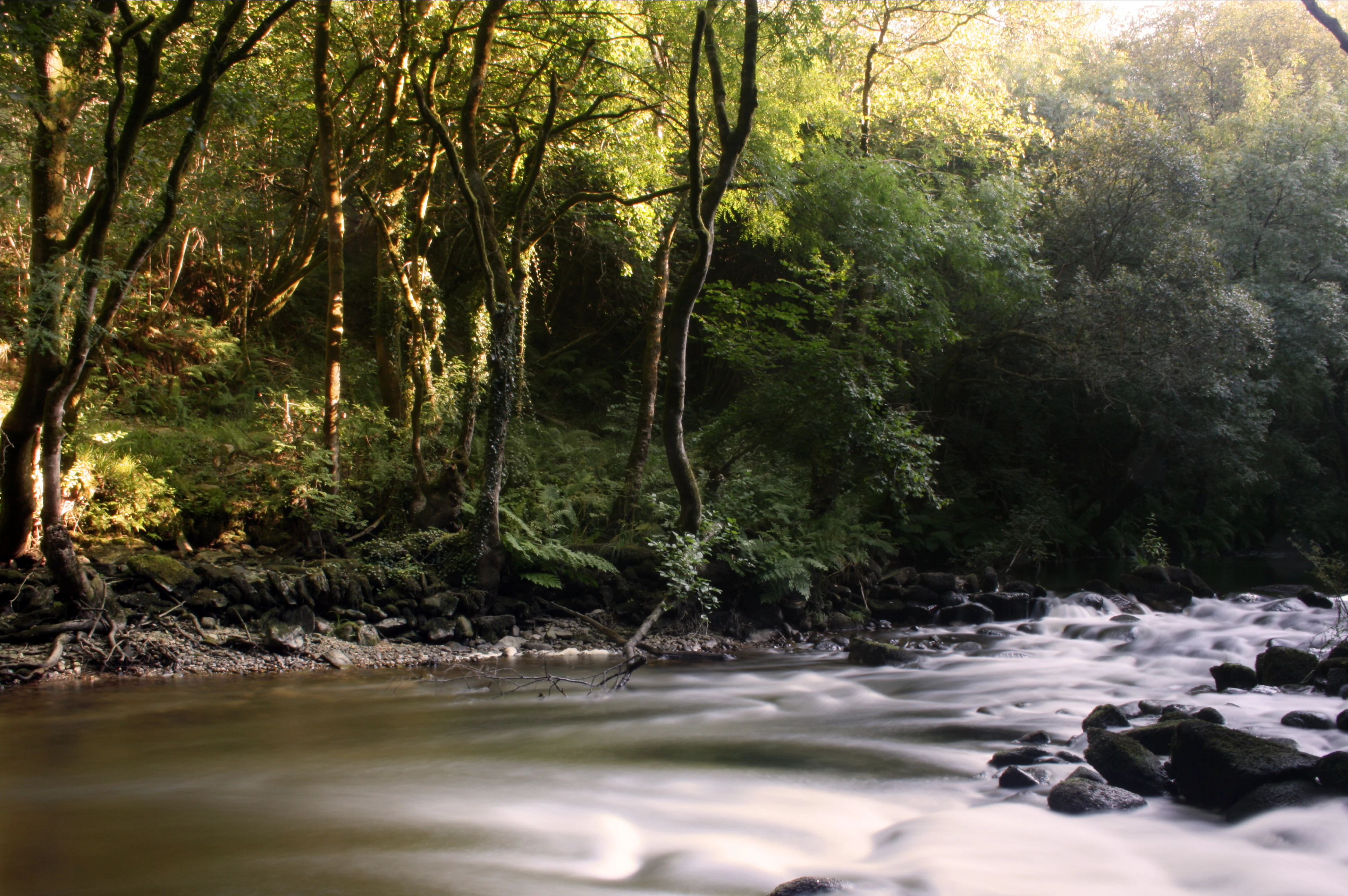 A long exposure photograph of the Mandeo River flowing over a rocky bed with a dense green forest lining the riverbank in the late afternoon light.