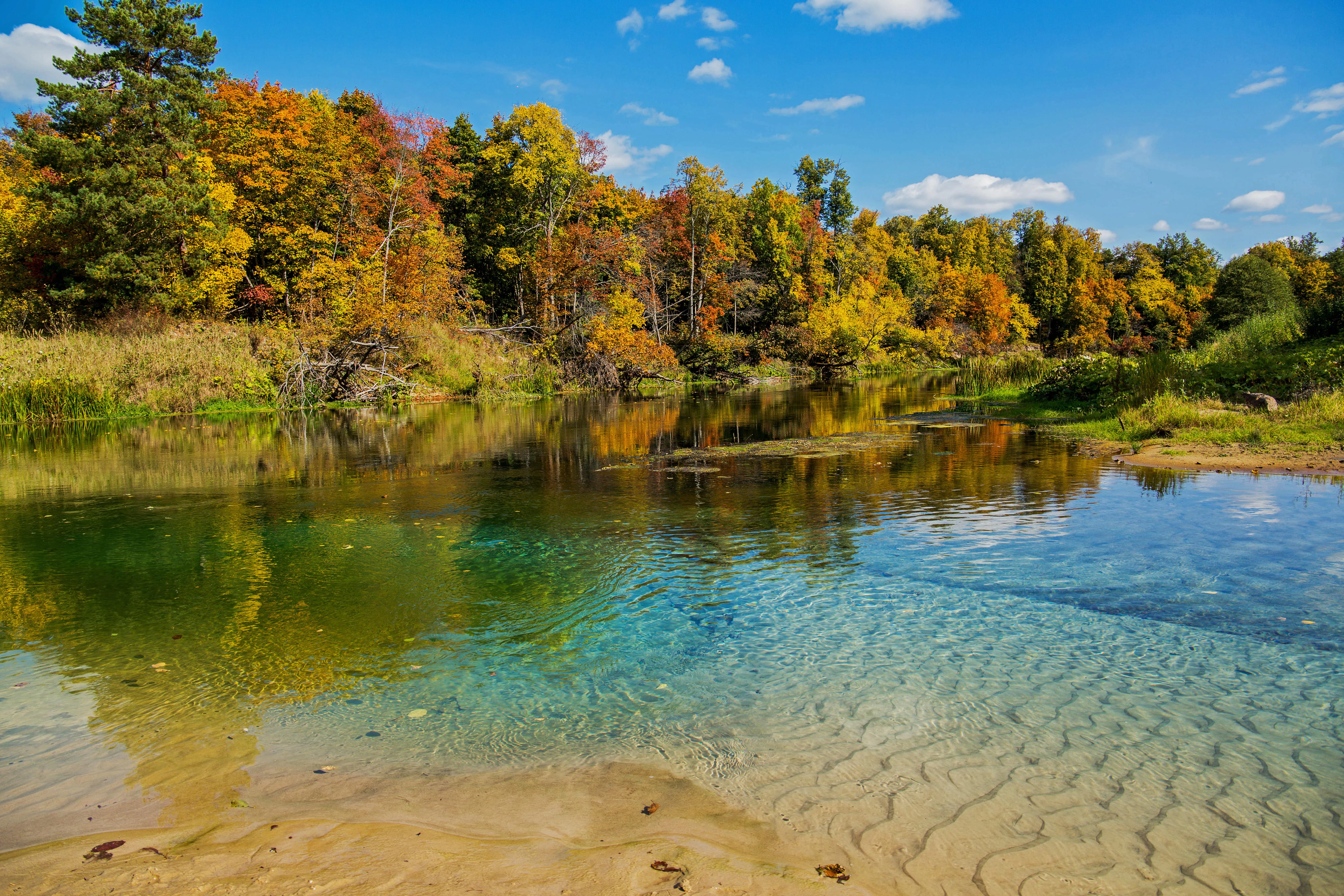 A clear, shallow river with a sandy bottom reflecting a colorful autumn forest under a blue sky.