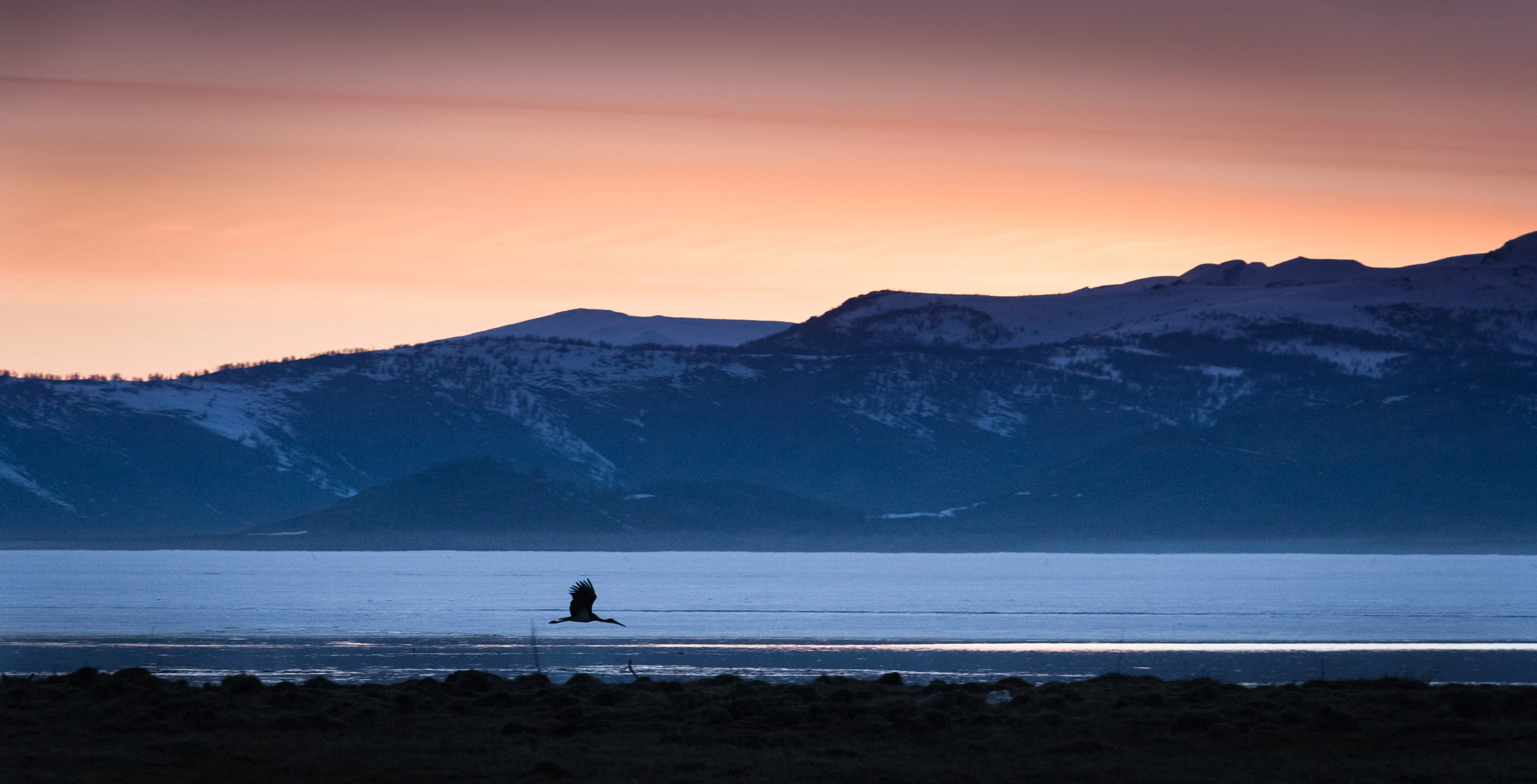A bird flying over a partially frozen, still lake with snow-covered mountains in the distance under a sunset sky.