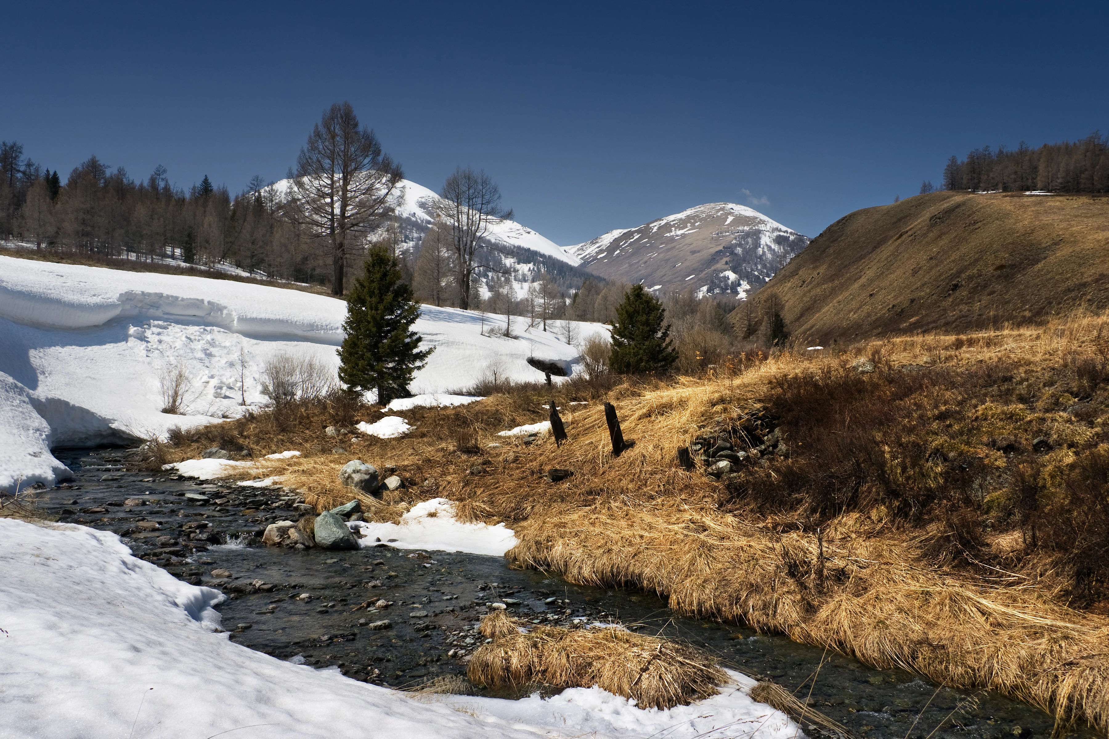 A clear stream flows through a valley with patches of remaining winter snow, dry golden grasses, and evergreen trees, with snow-capped mountain peaks in the background.