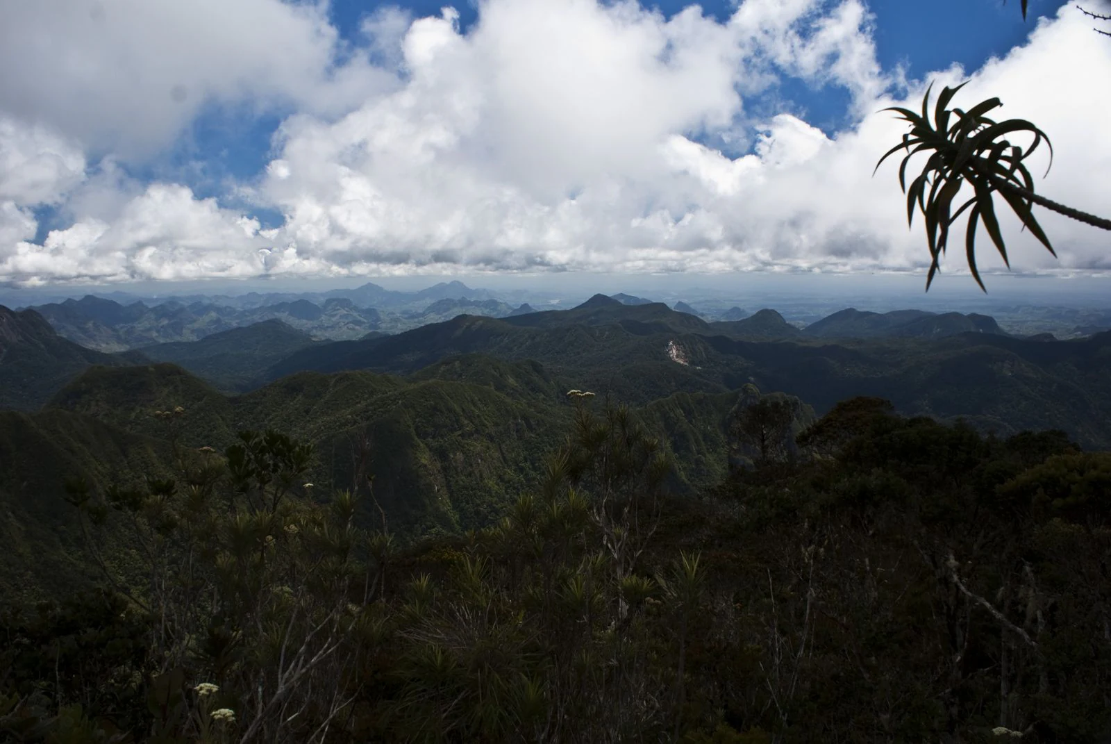 Panoramic view of mountain ranges and cloud-covered sky in Marojejy National Park, Madagascar, with dense forest below