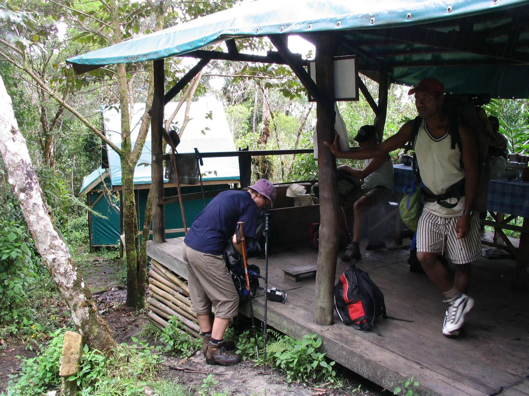 A campsite shelter with green roof in a forested area, showing hikers with backpacks on a wooden platform, surrounded by dense vegetation