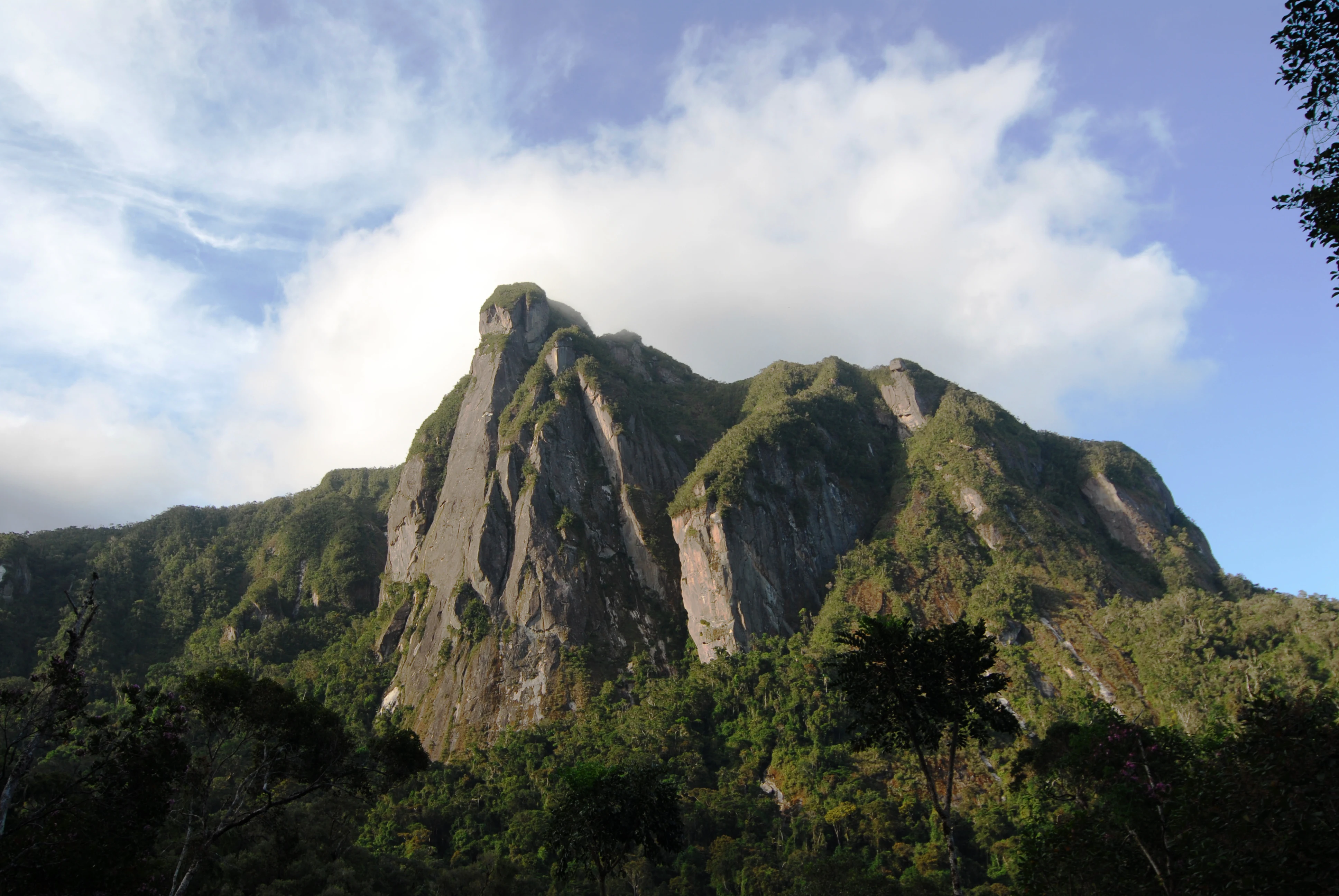 Mountain peak with rocky outcrop and dense forest below under partly cloudy sky