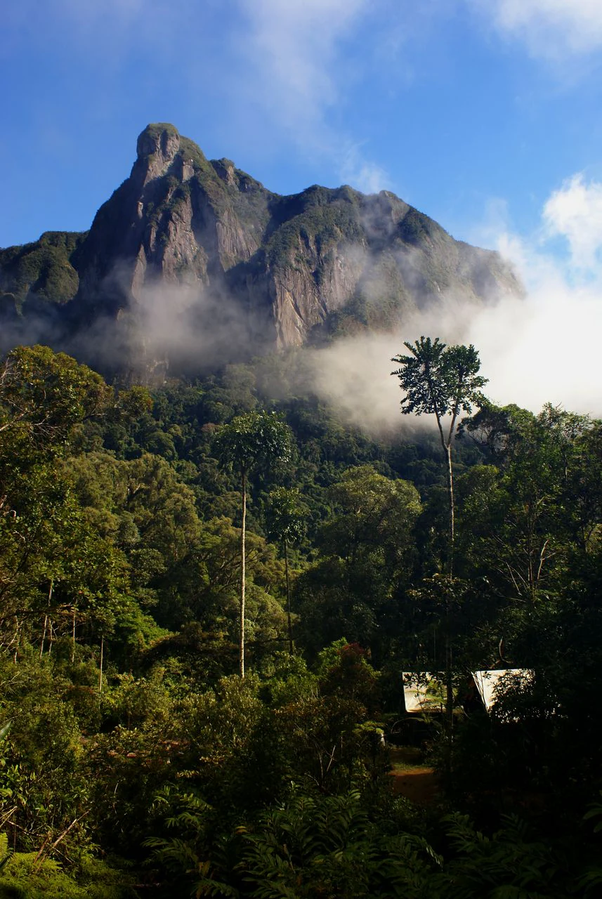 Mountain with mist and dense green forest, with small structures visible in the foreground