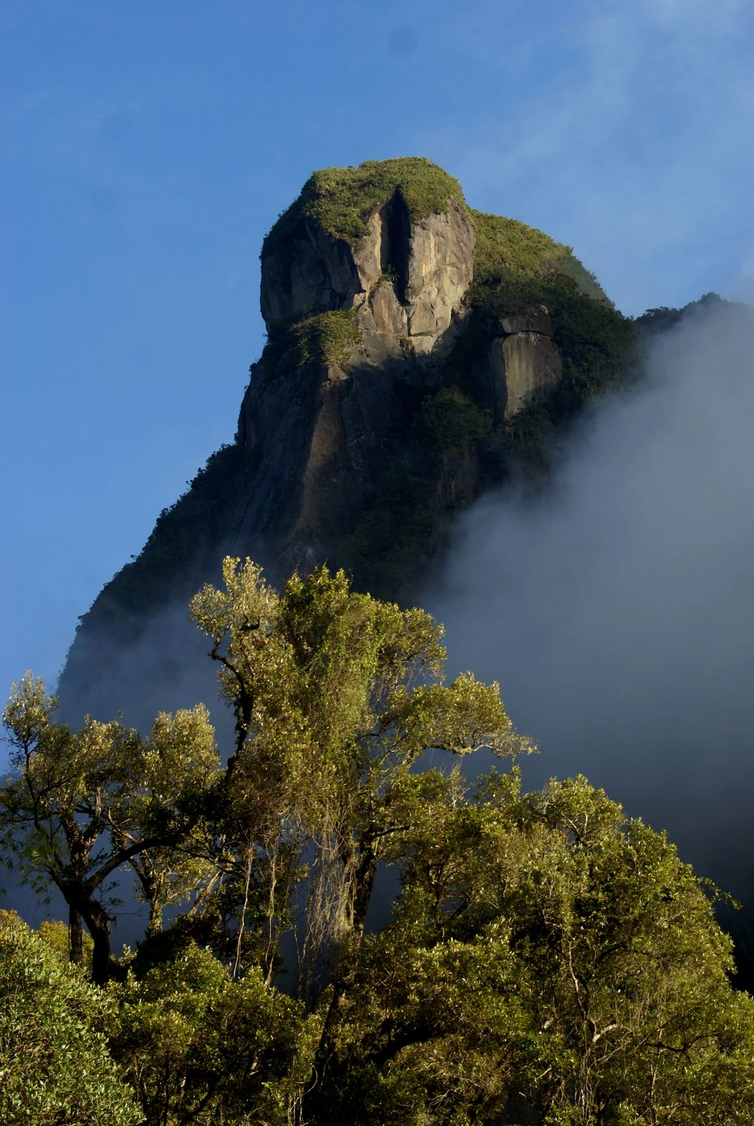 Tall mountain peak with rocky outcrops and vegetation, partially obscured by fog, with dense trees in the foreground under a clear blue sky