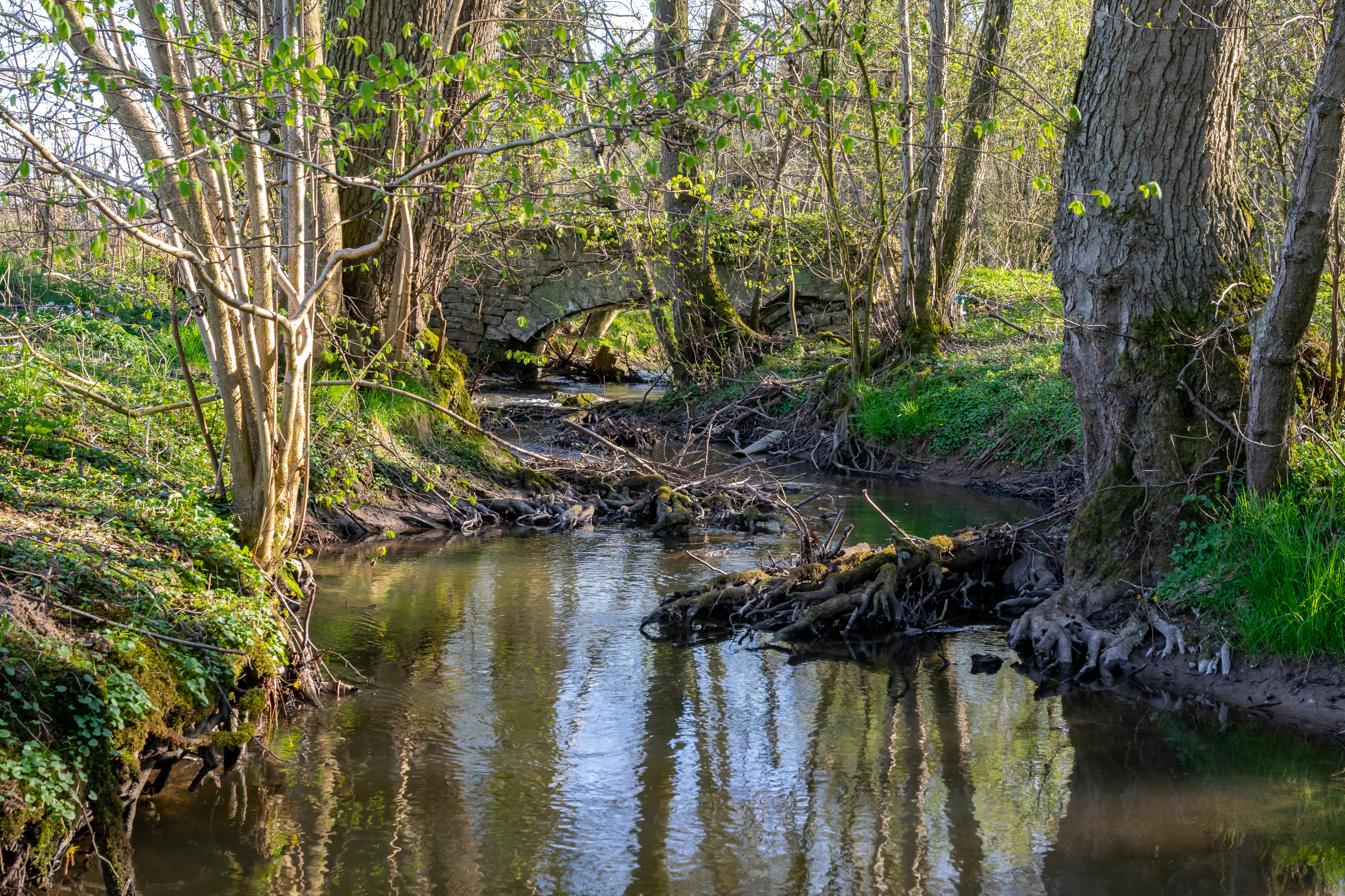 A small stone arched bridge crosses a narrow, calm stream in a lush, wooded valley, with trees and spring vegetation lining the banks.