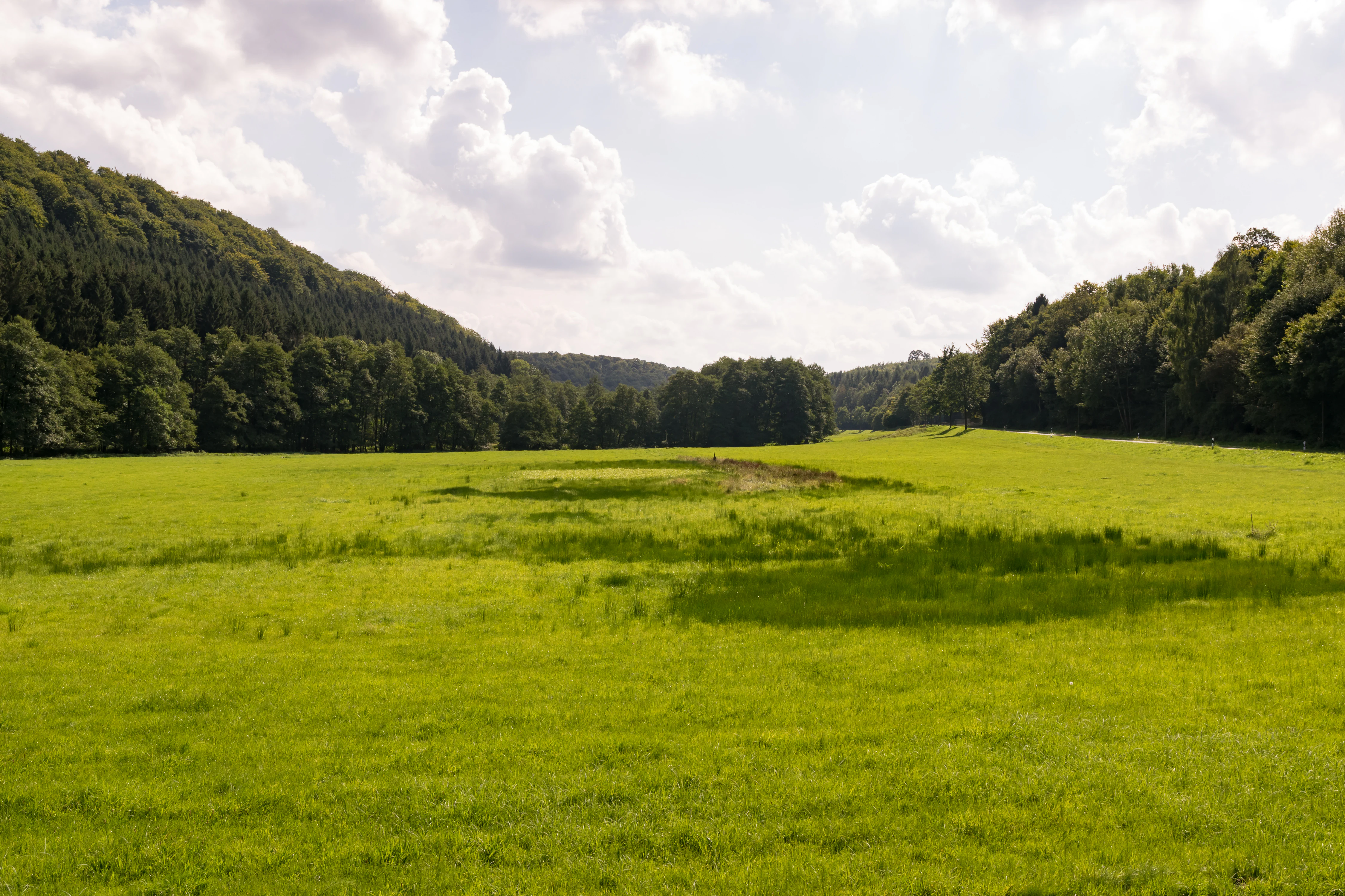 Una vista panorámica de un prado verde vibrante rodeado de densos bosques bajo un cielo nublado azul.