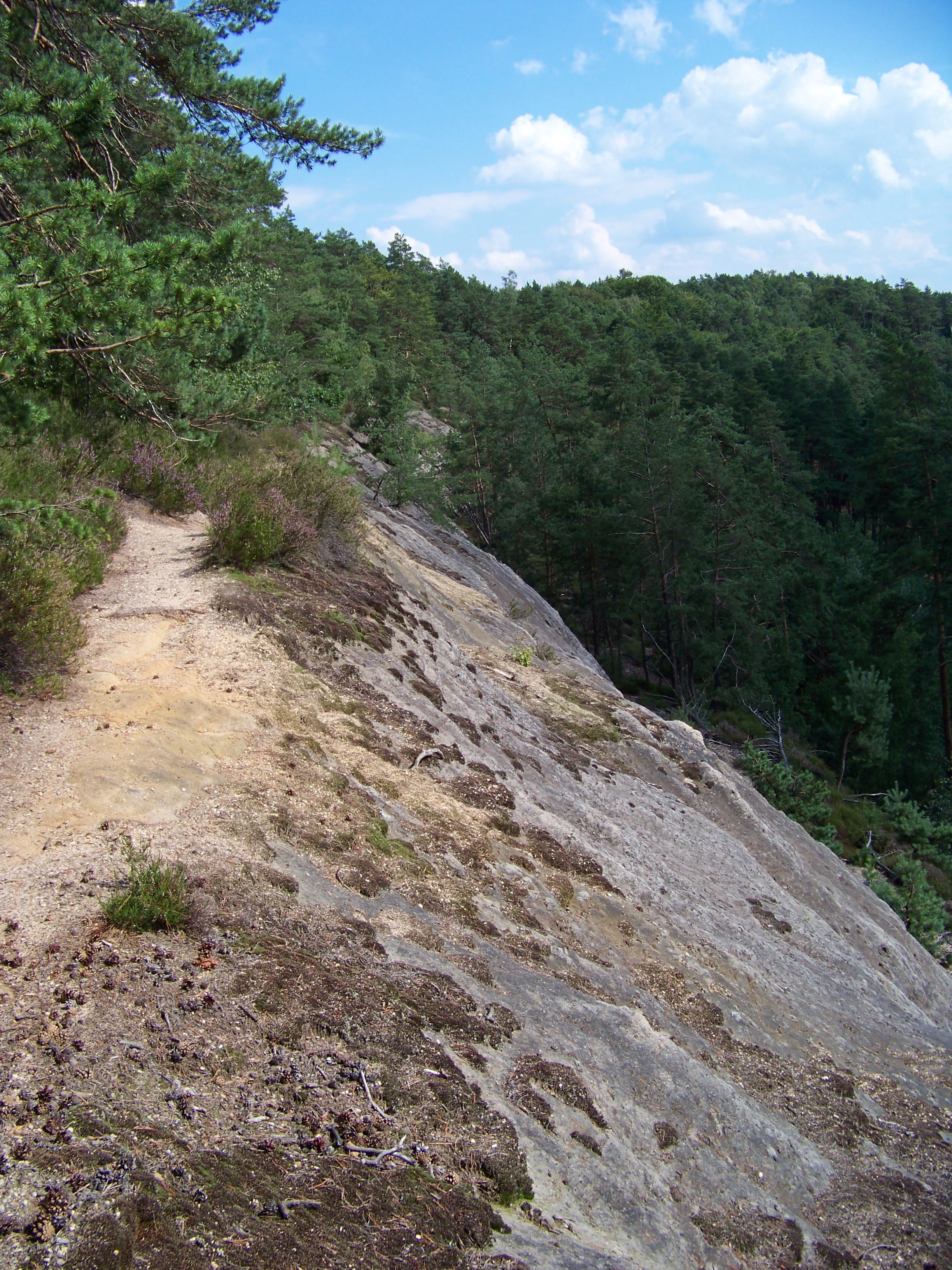 A narrow dirt hiking path follows the top of a sloping sandstone rock formation, flanked by pine trees and forest, with a panoramic view of the wooded valley below under a blue sky.