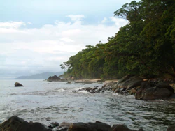 Rocky shoreline with calm water, dense forest along the coast, and partly cloudy sky