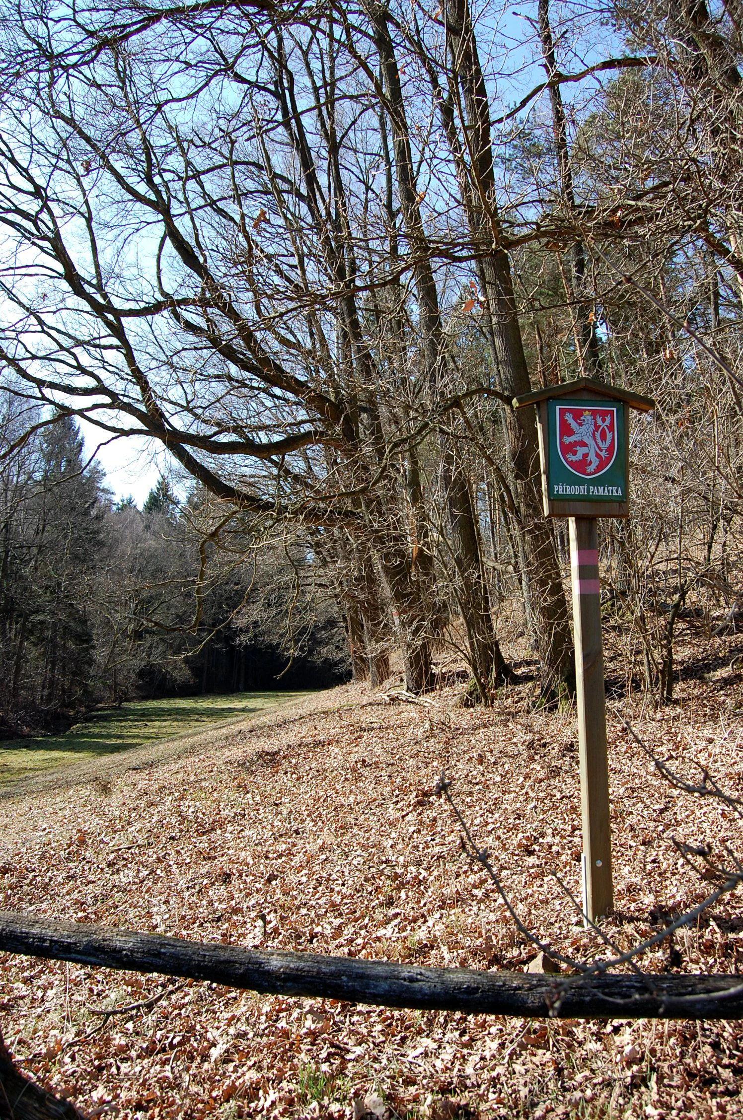 A green sign featuring the Czech coat of arms on a wooden post, marking a nature reserve, situated at the edge of a forest and meadow with fallen leaves on the ground.