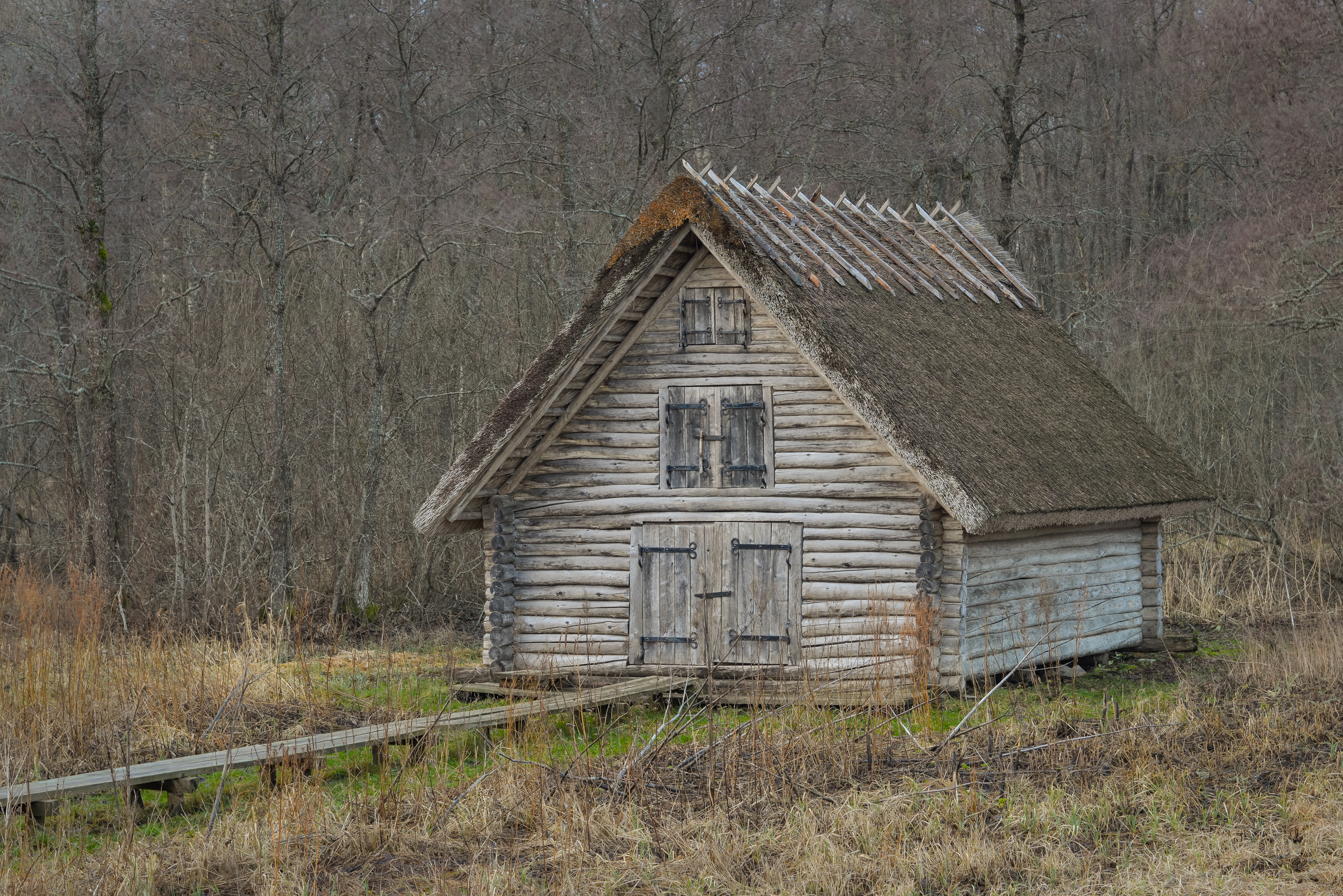Weathered wooden barn with thatched roof and boardwalk in grassy field with sparse trees